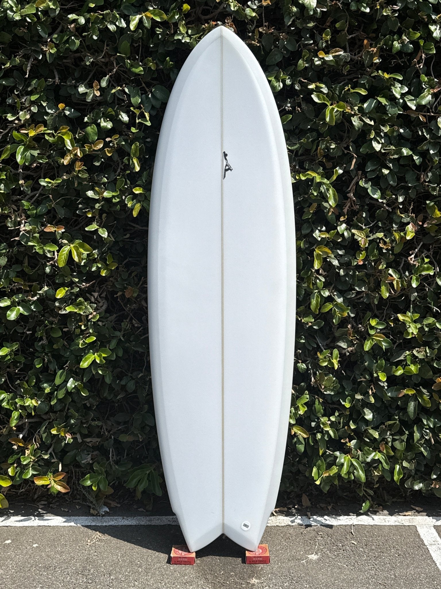 5'6 Thomas Flat Deck Fish - Mollusk Surf Shop