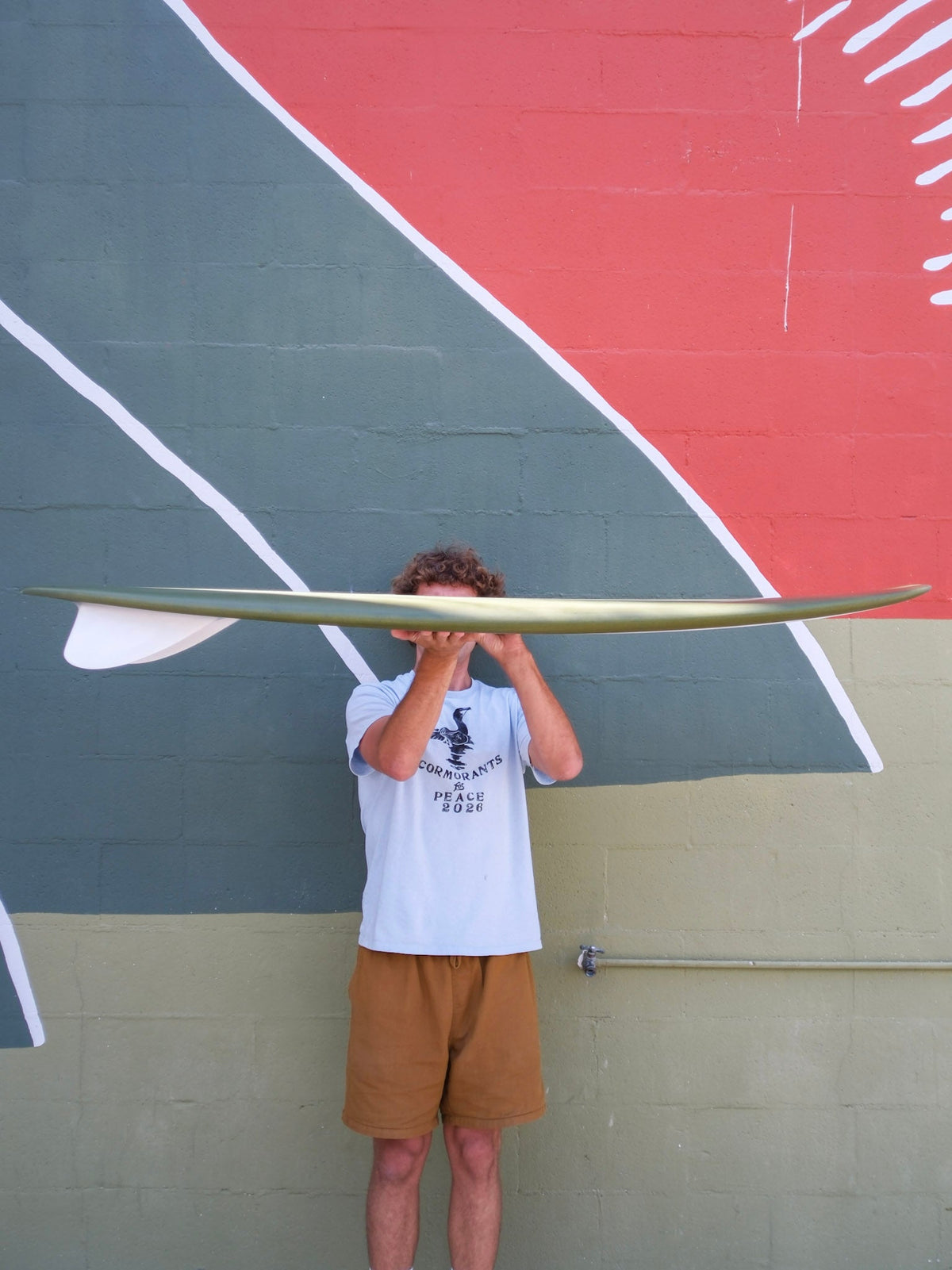 5'7 Tyler Warren Swallowed Soap - Mollusk Surf Shop