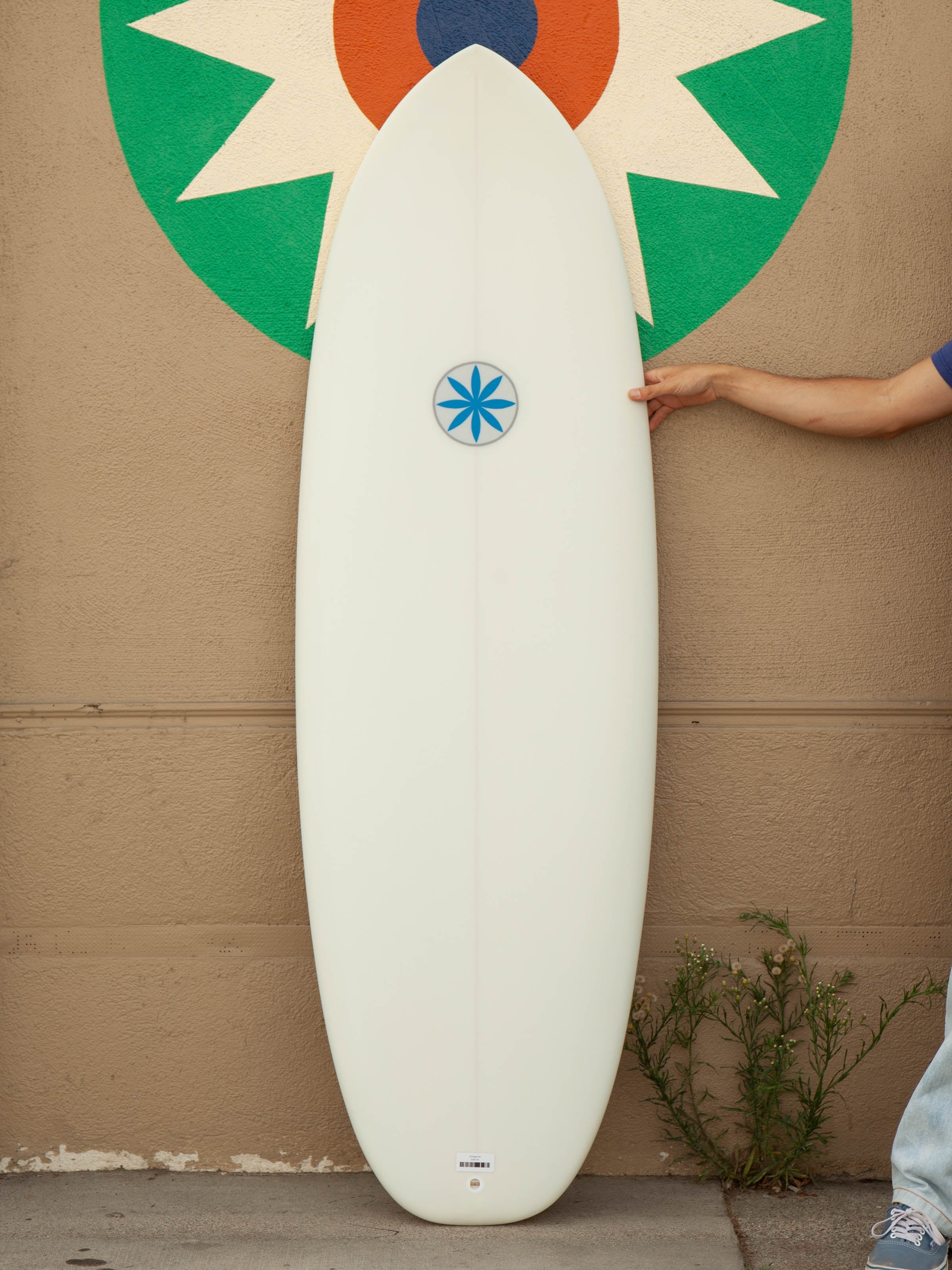 5'8 Hanel Pill - Mollusk Surf Shop 