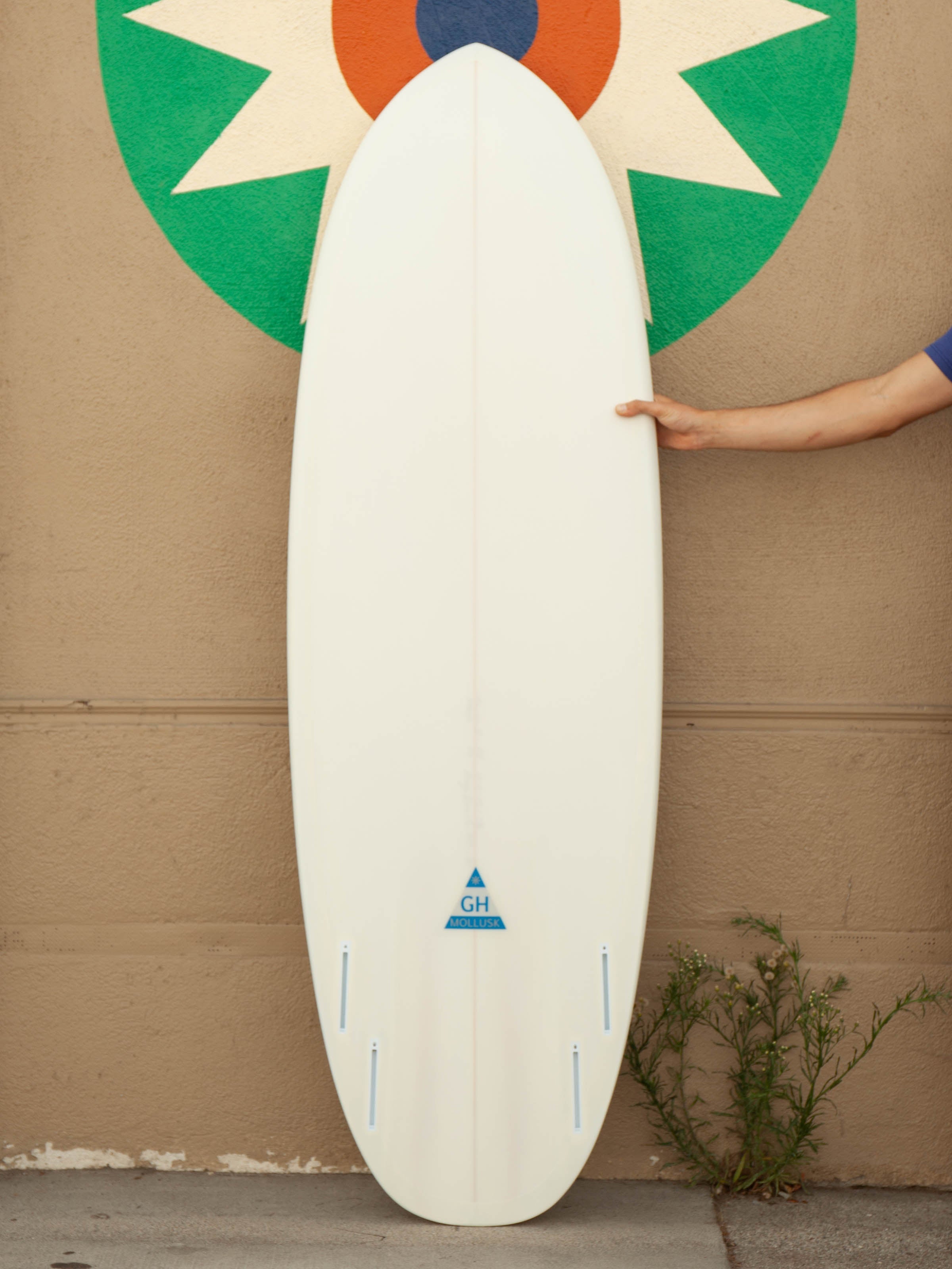 5'8 Hanel Pill - Mollusk Surf Shop