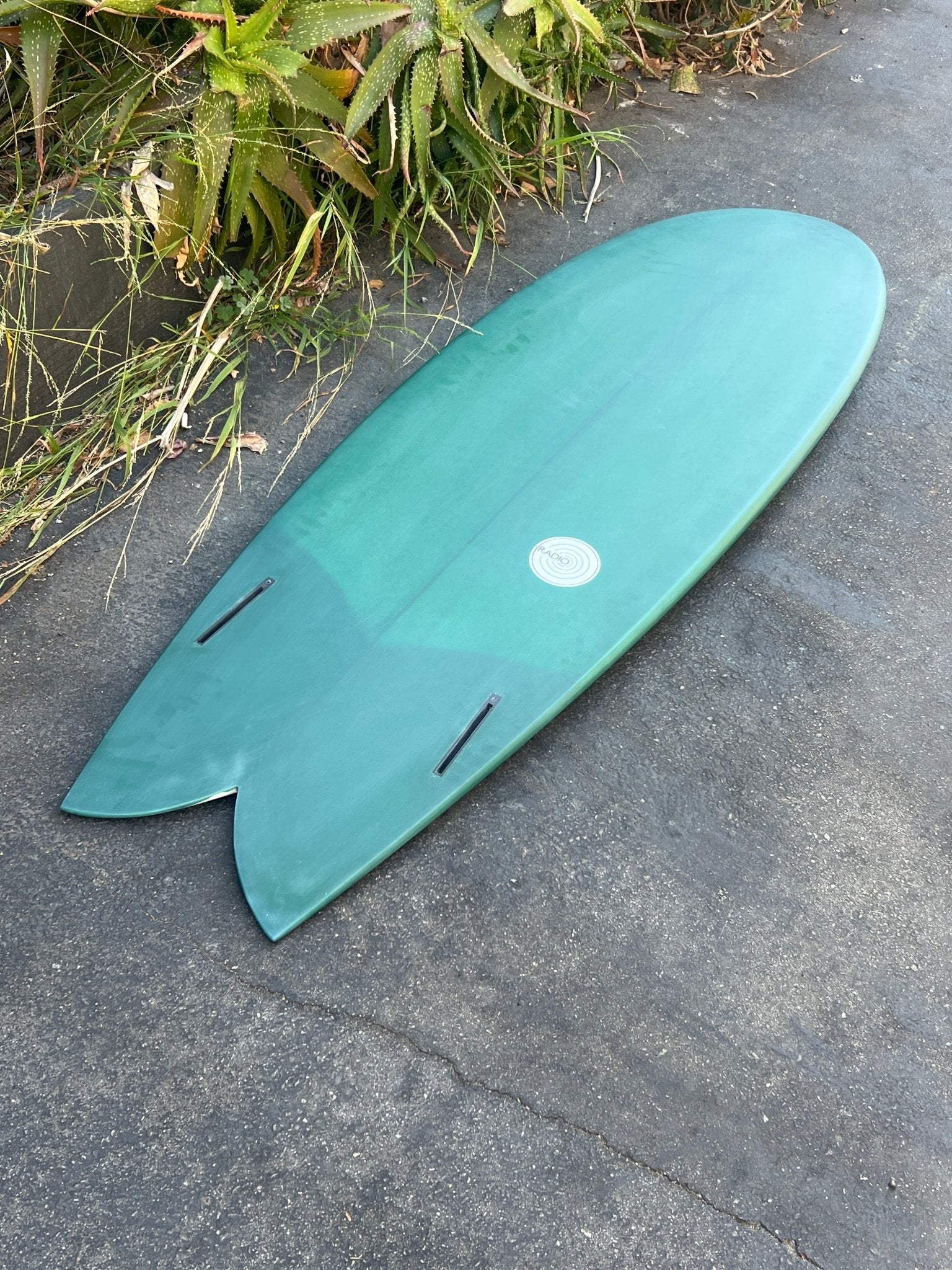 5'8 Radio Classic Fish - Mollusk Surf Shop