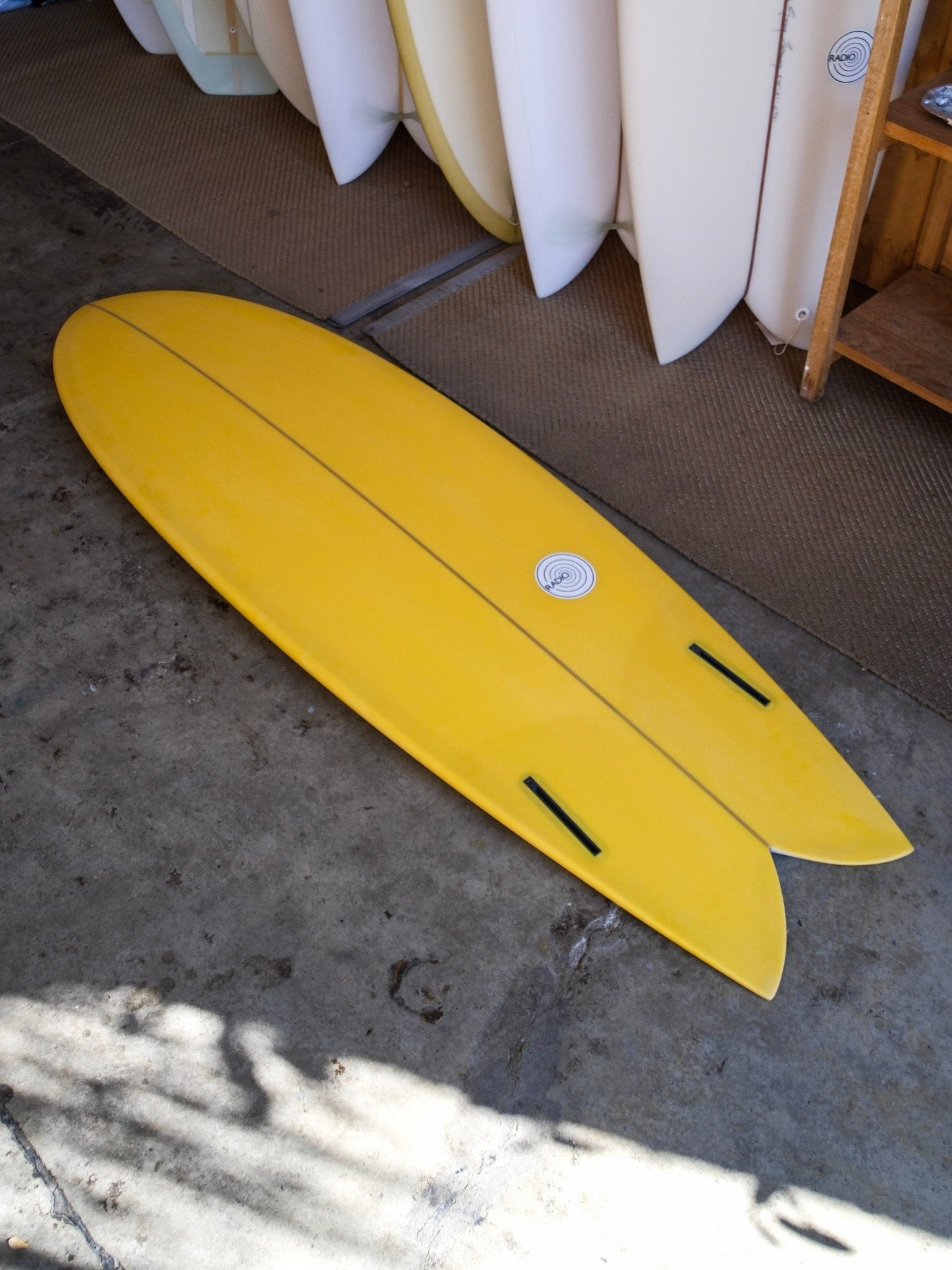 5'9 Radio Classic Fish - Mollusk Surf Shop