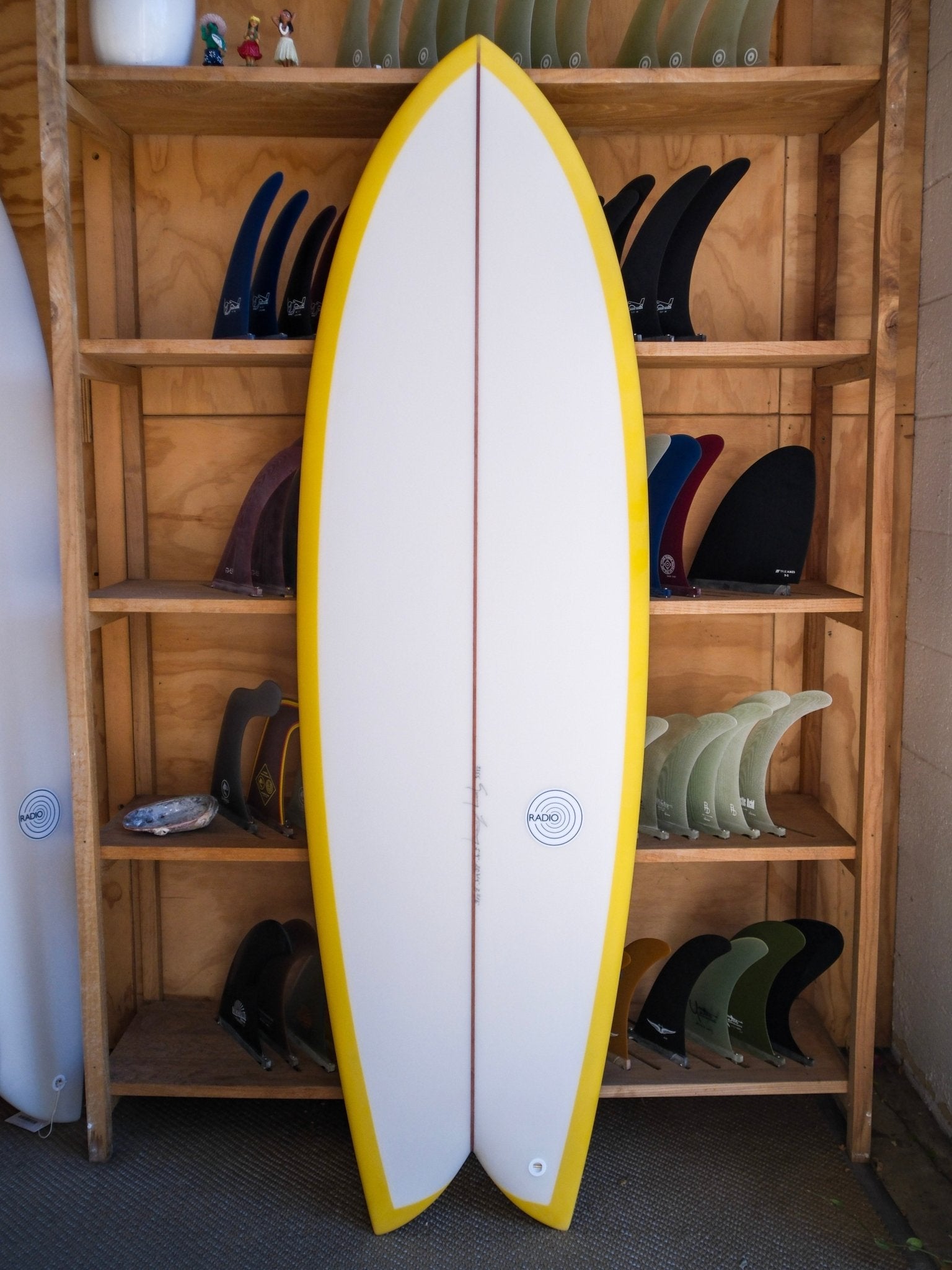 5'9 Radio Classic Fish - Mollusk Surf Shop