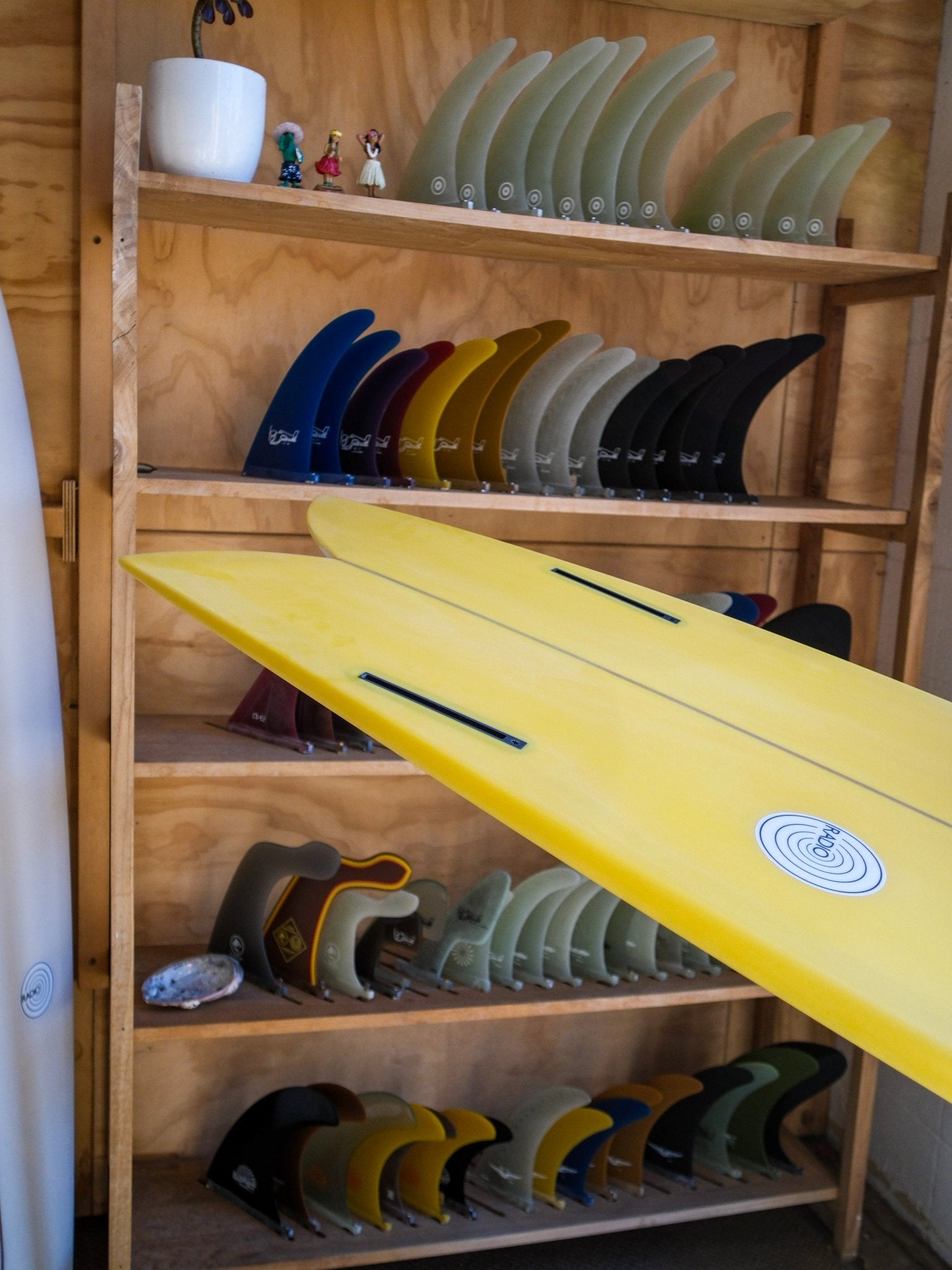5'9 Radio Classic Fish - Mollusk Surf Shop - description