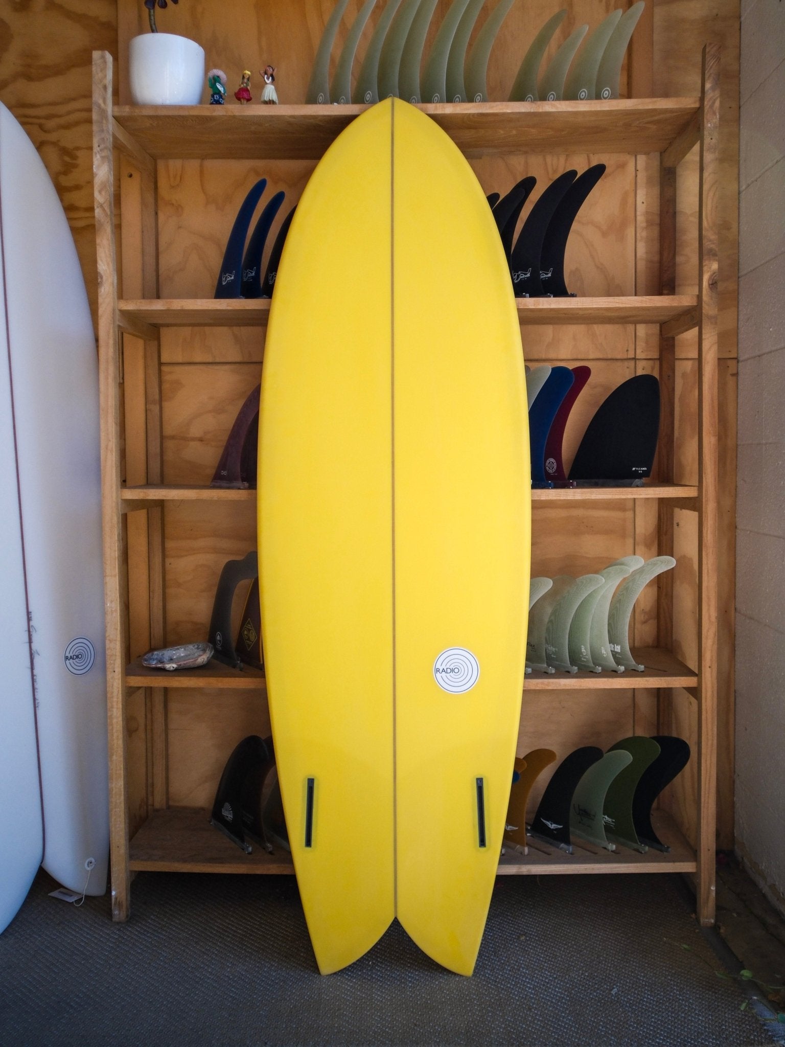 5'9 Radio Classic Fish - Mollusk Surf Shop