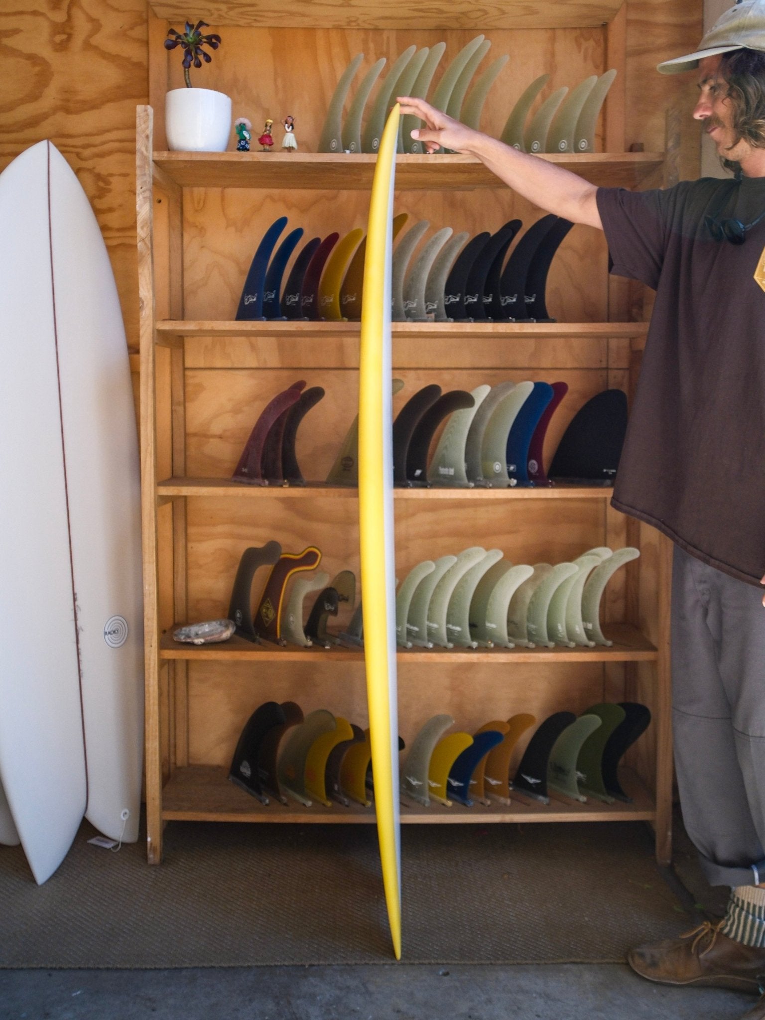 5'9 Radio Classic Fish - Mollusk Surf Shop