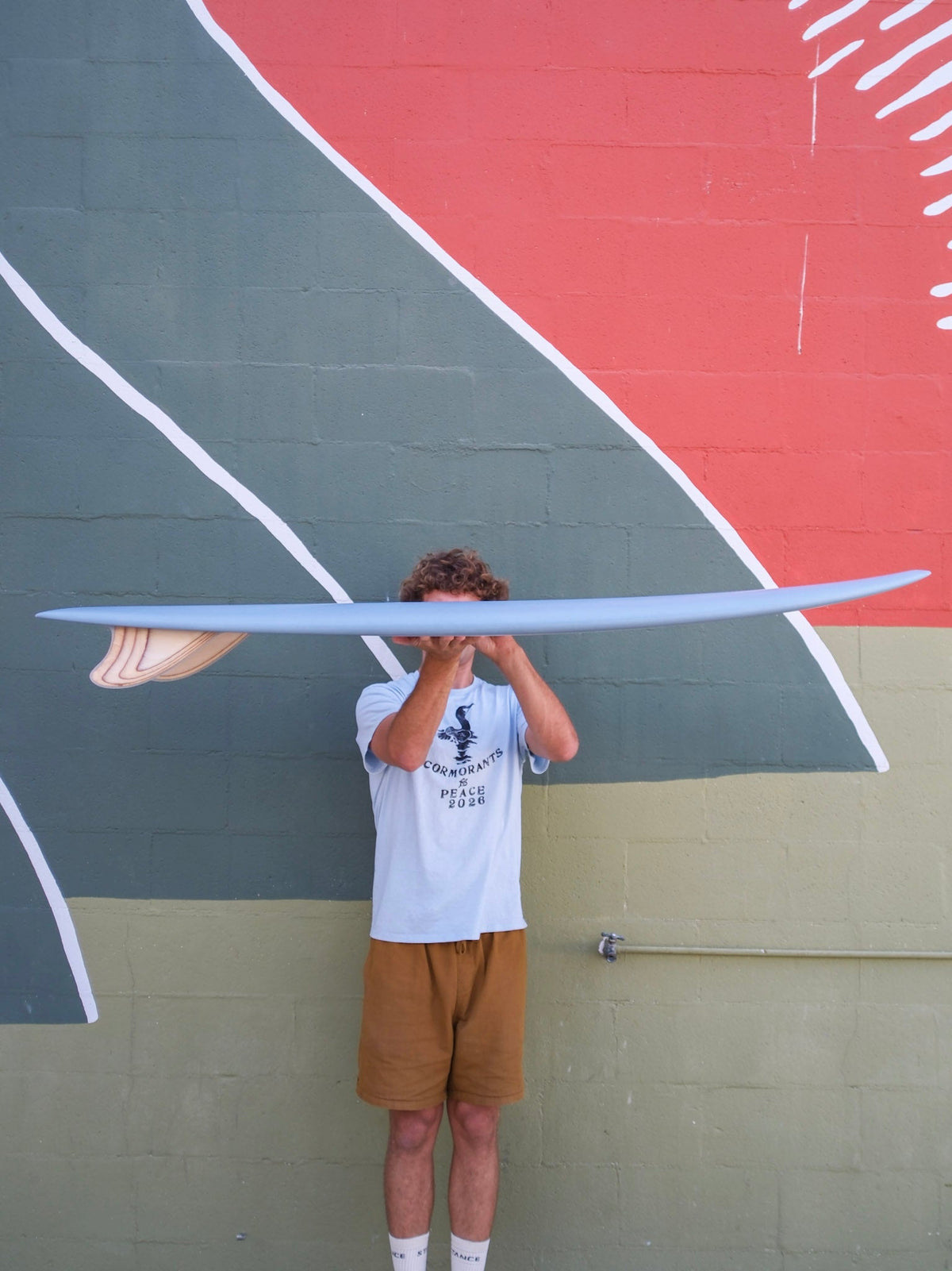 5'9 Tyler Warren Dream Fish - Mollusk Surf Shop