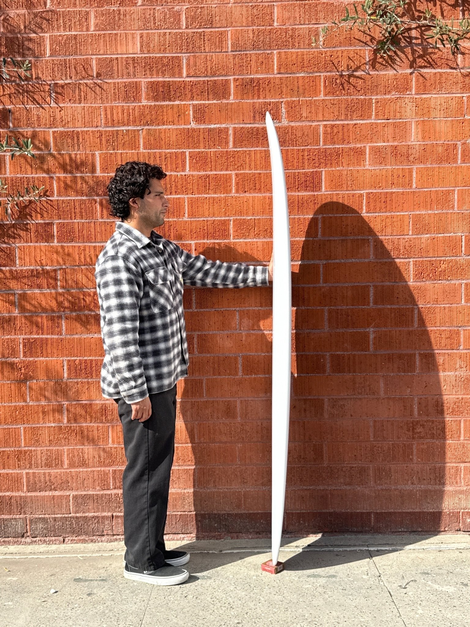 6'0 Alex Lopez Terratwin - Mollusk Surf Shop