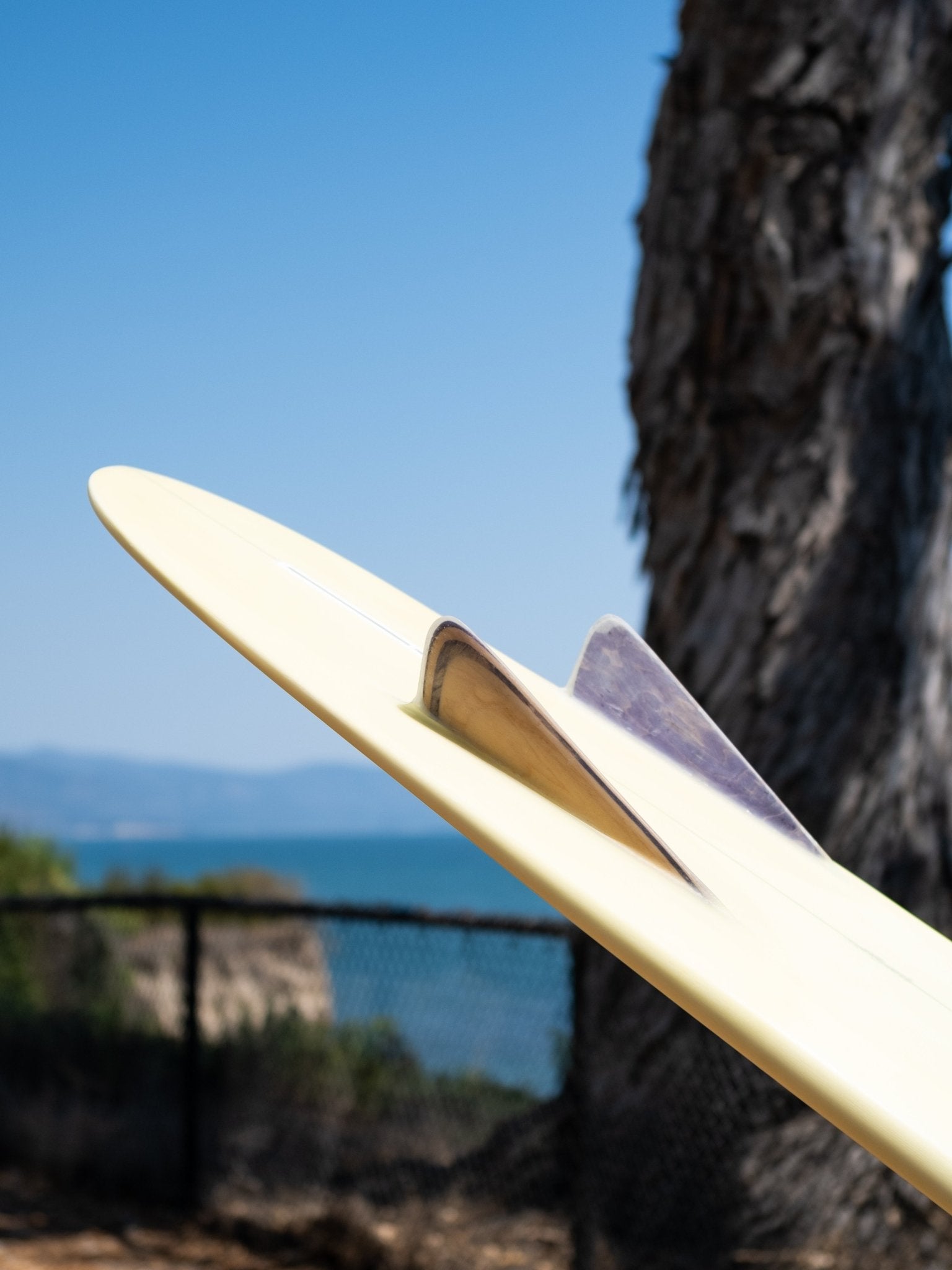 6'0 Beau Bonzerito - Mollusk Surf Shop - description