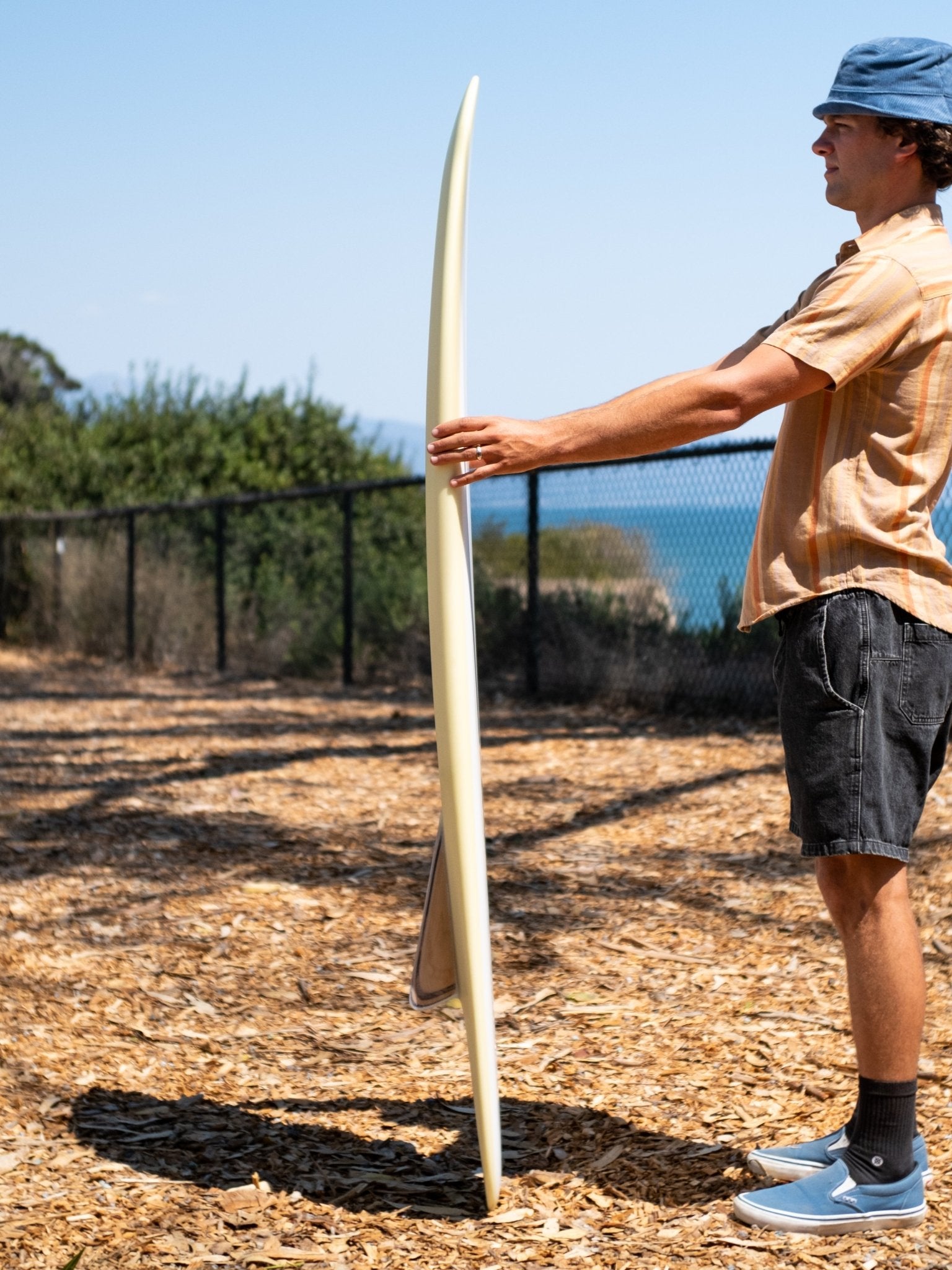 6'0 Beau Bonzerito - Mollusk Surf Shop
