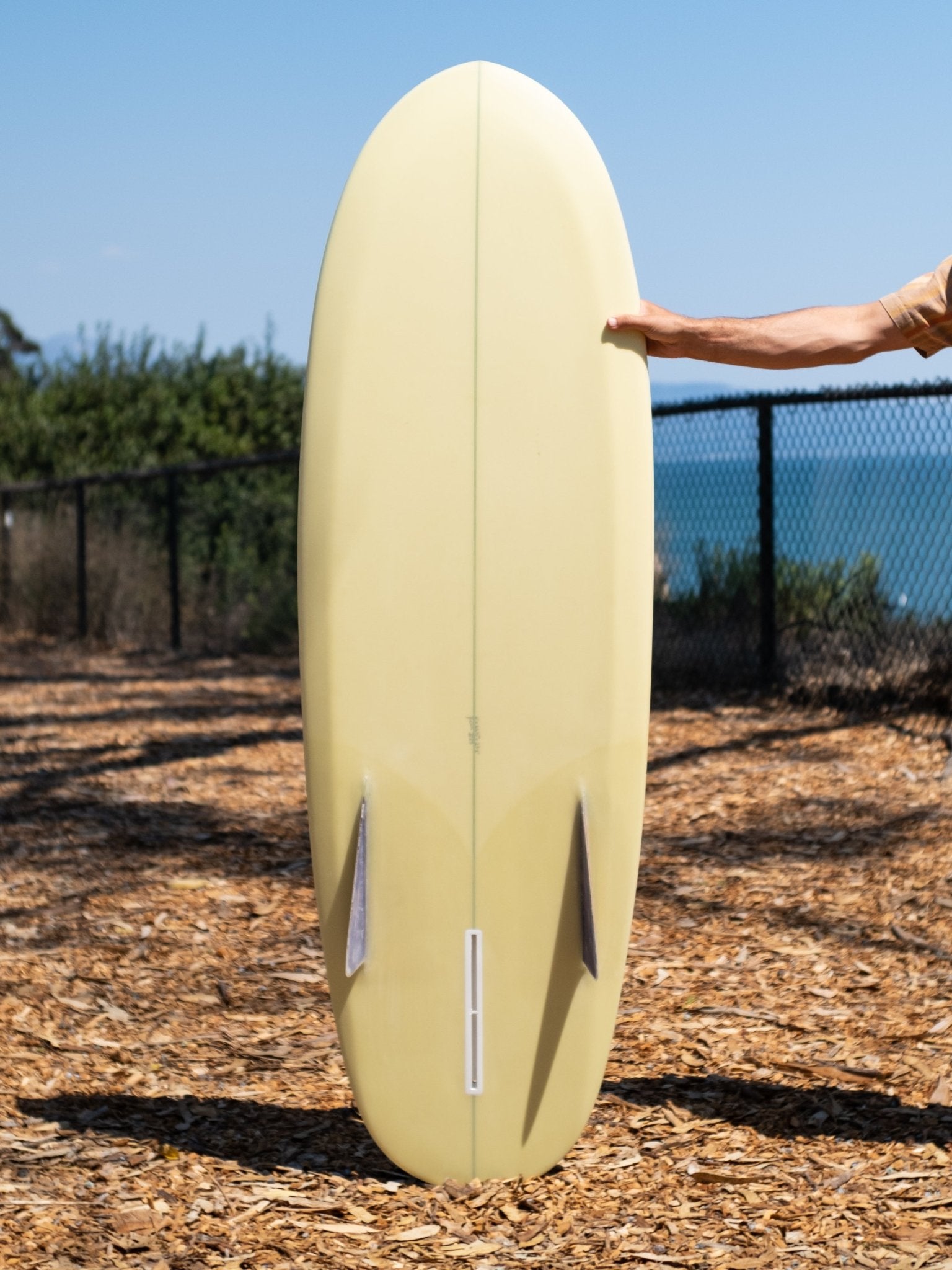 6'0 Beau Bonzerito - Mollusk Surf Shop