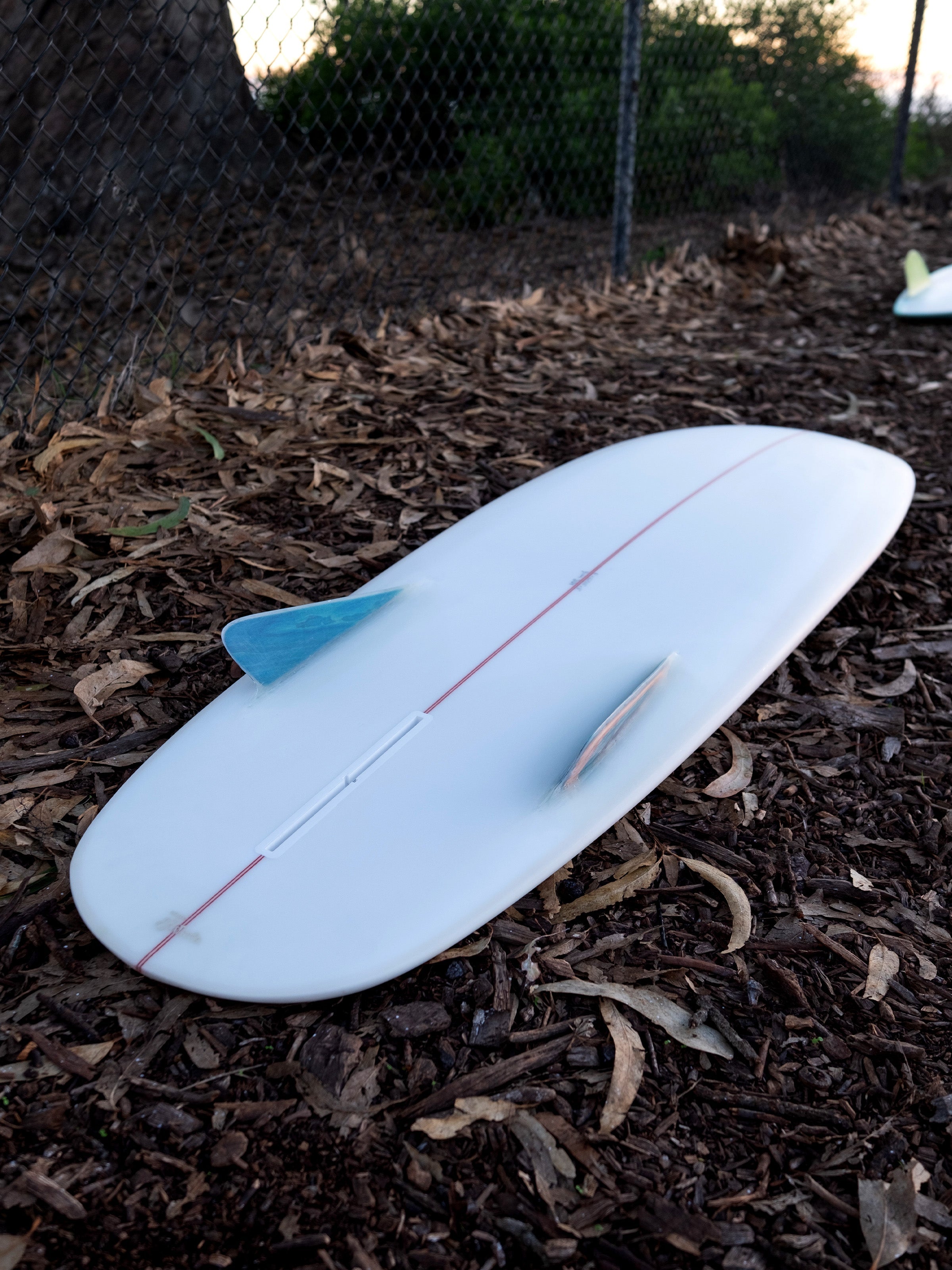 6'0 Beau Bonzerito - Mollusk Surf Shop