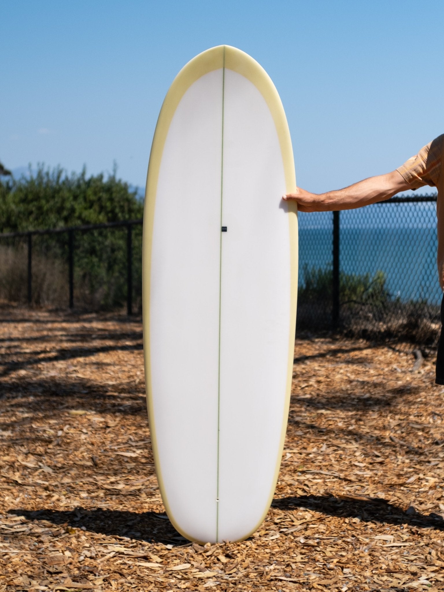 6'0 Beau Bonzerito - Mollusk Surf Shop