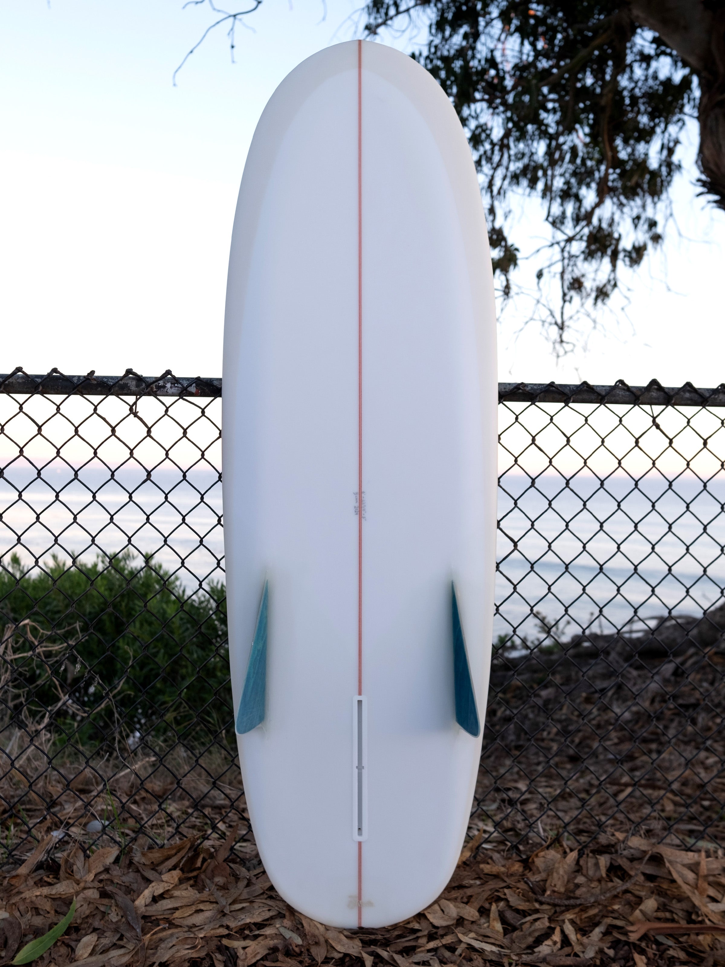 6'0 Beau Bonzerito - Mollusk Surf Shop