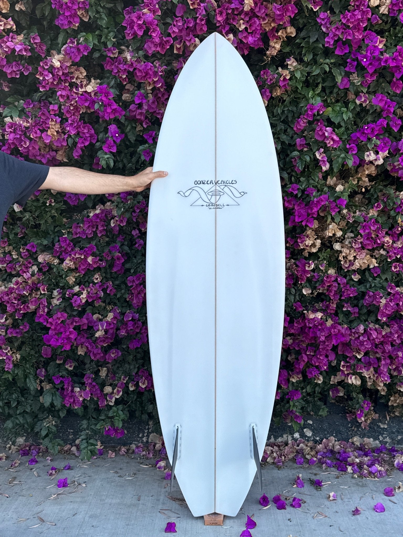 6'0 Campbell Brothers Alpha Omega - Mollusk Surf Shop