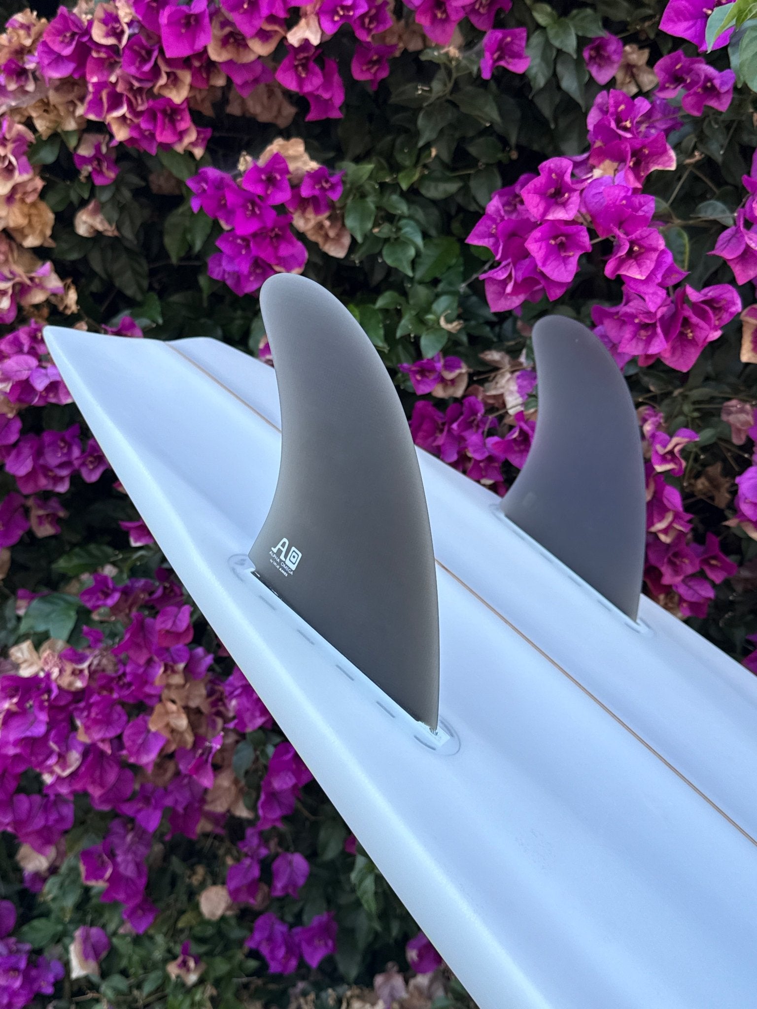 6'0 Campbell Brothers Alpha Omega - Mollusk Surf Shop - description