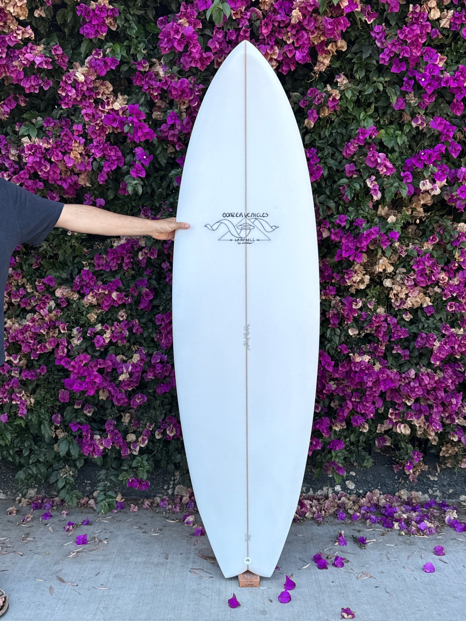 6'0 Campbell Brothers Alpha Omega - Mollusk Surf Shop