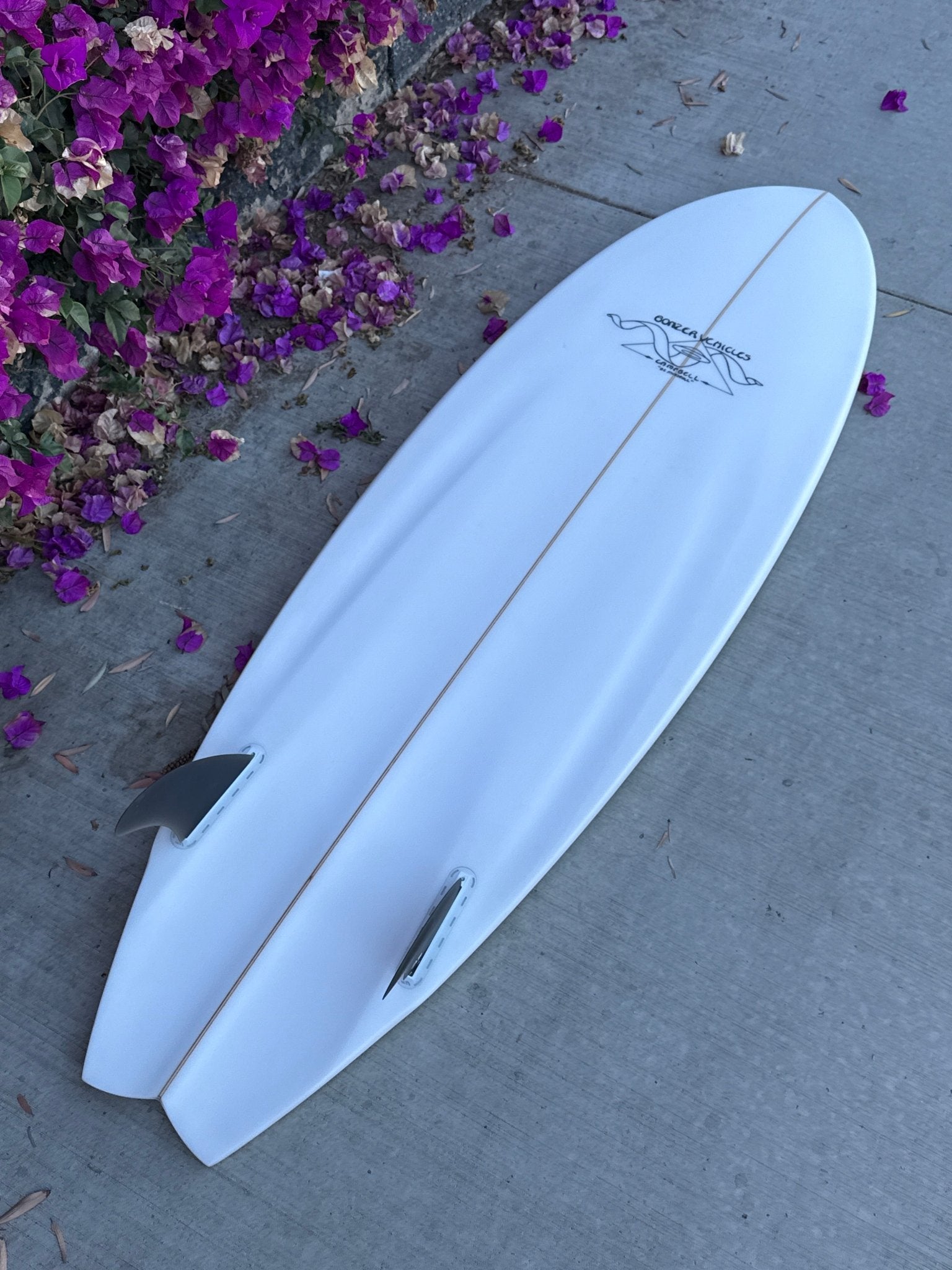 6'0 Campbell Brothers Alpha Omega - Mollusk Surf Shop