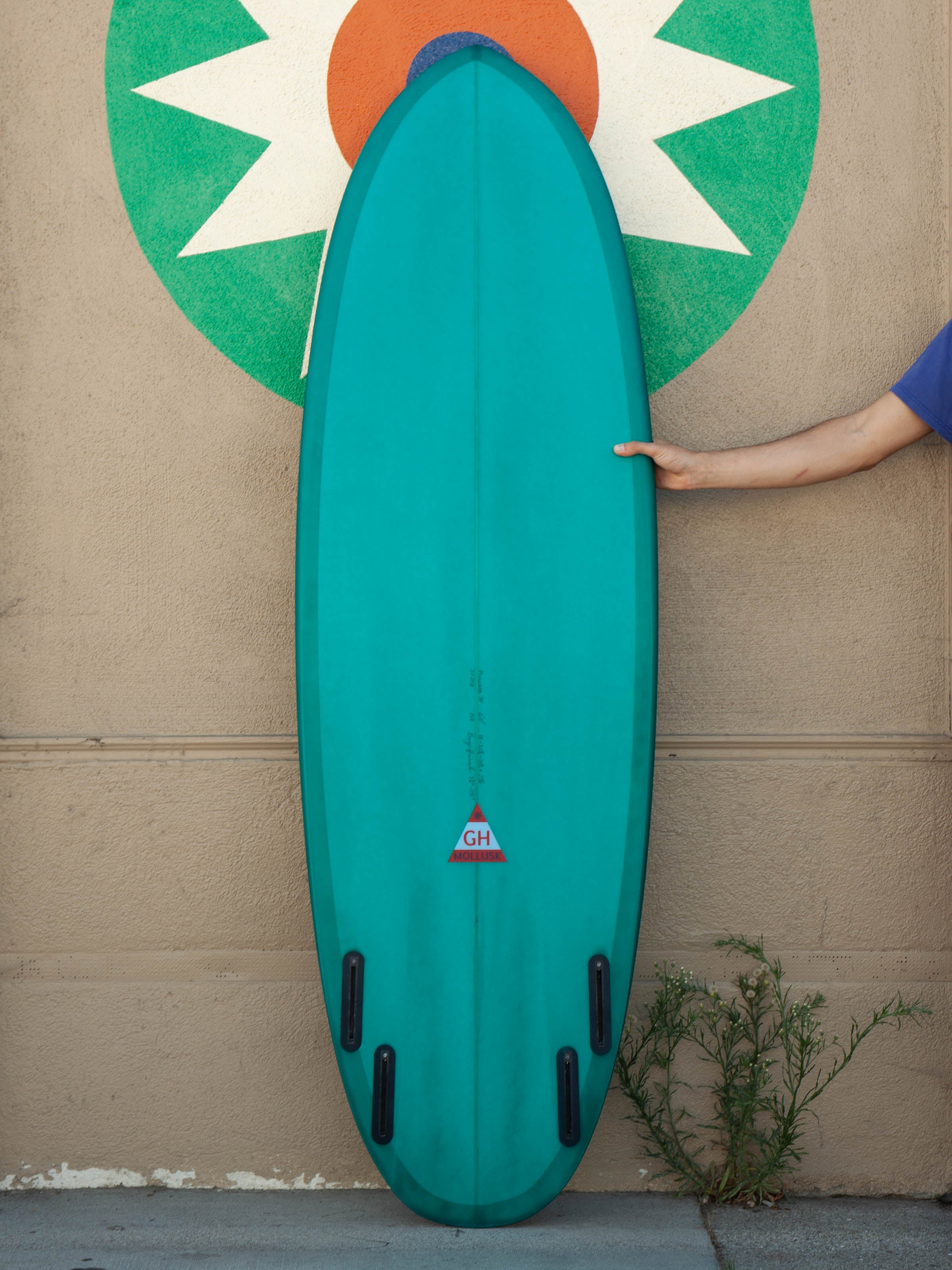 6'0 Hanel Pill - Mollusk Surf Shop