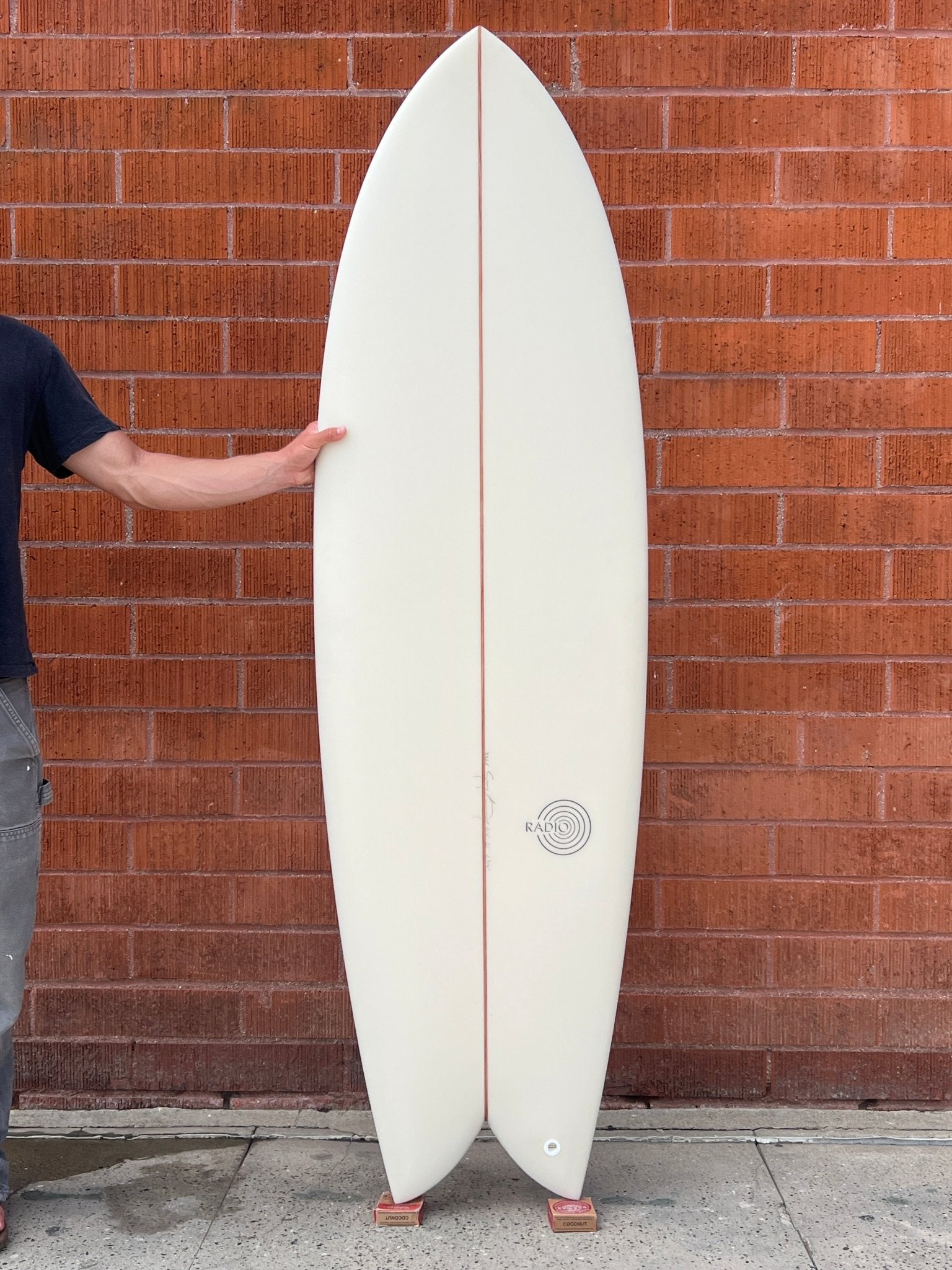 6'0 Radio Classic Fish - Mollusk Surf Shop