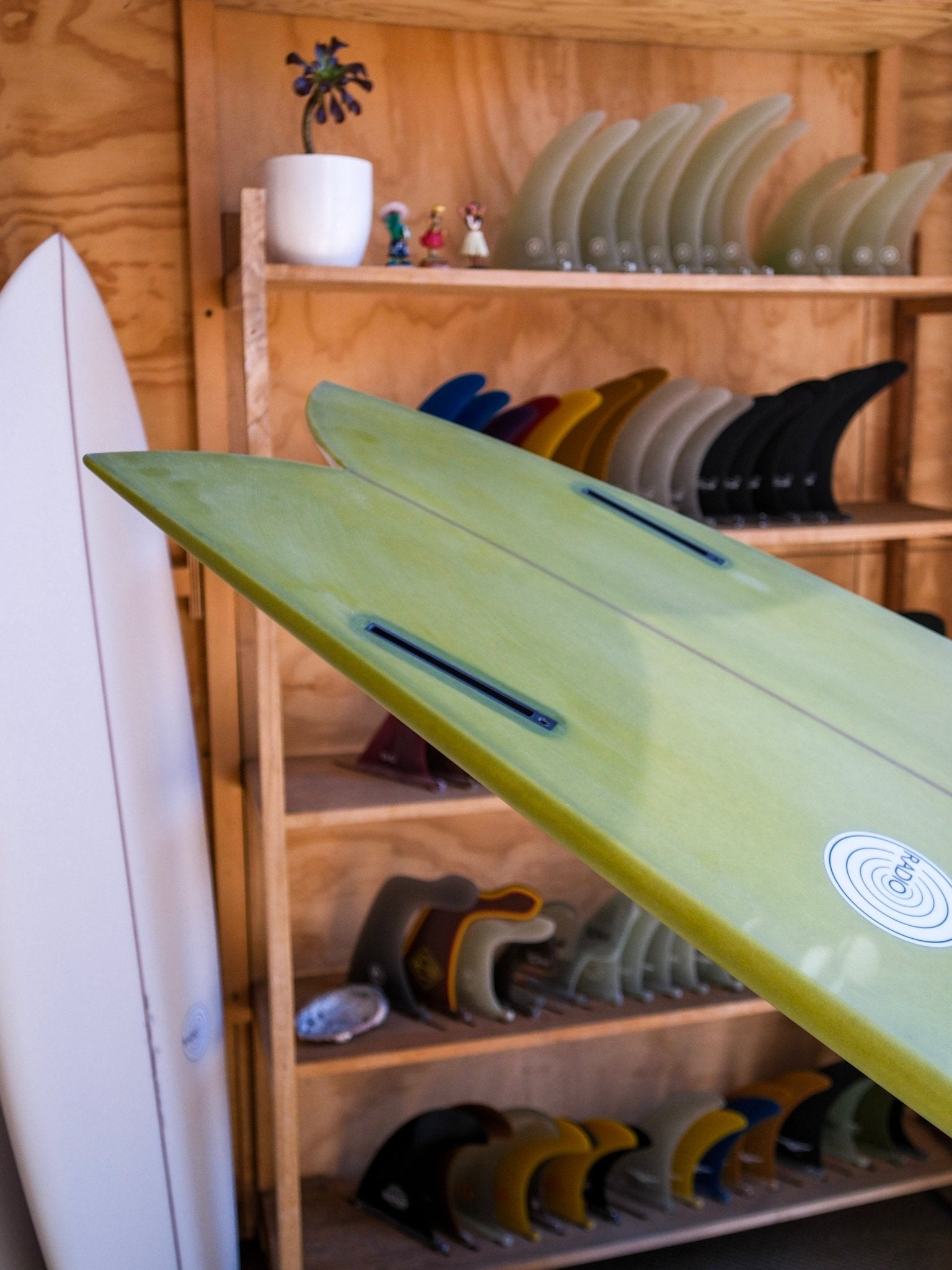 6'0 Radio Classic Fish - Mollusk Surf Shop - description