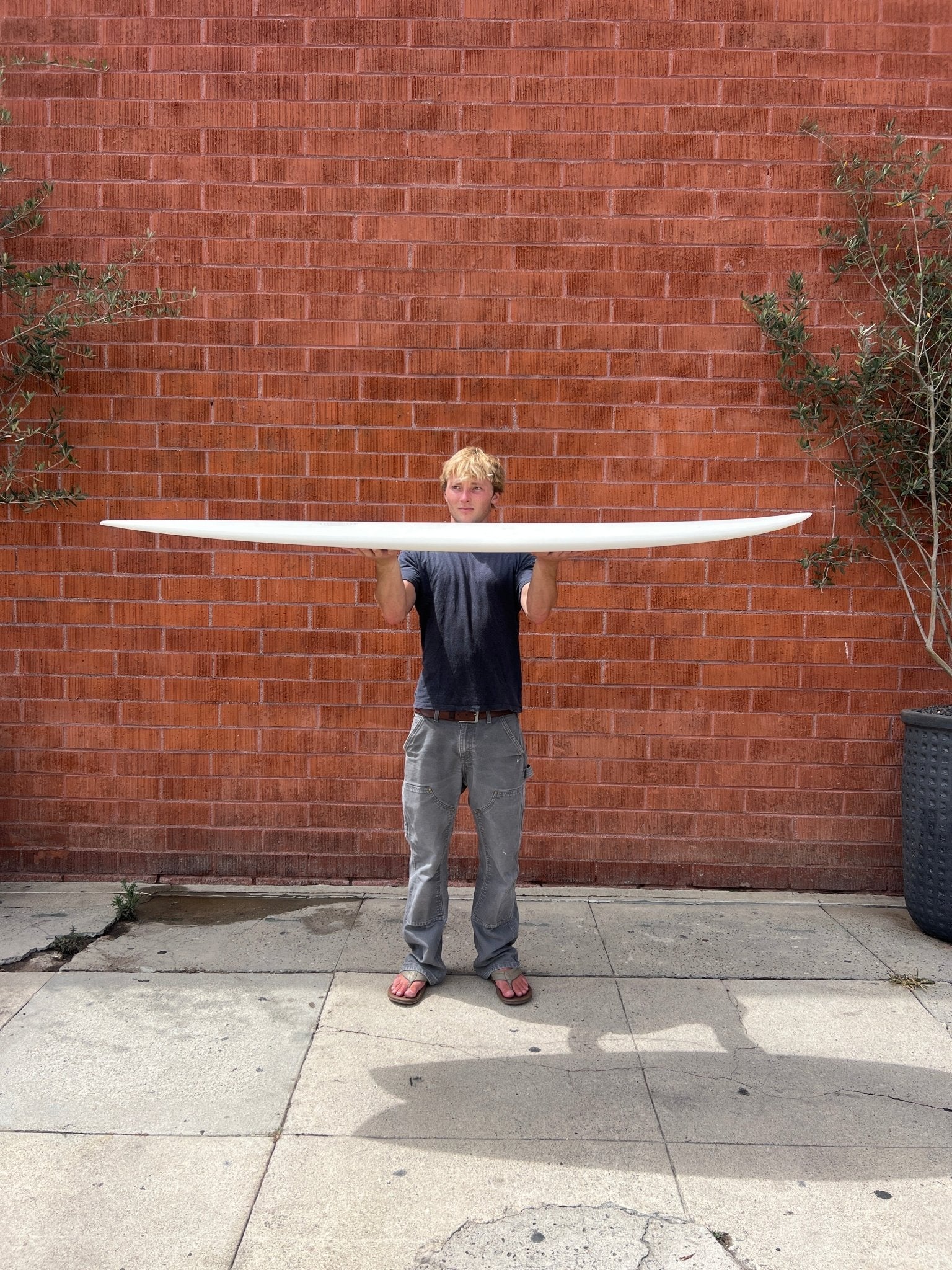 6'0 Radio Classic Fish - Mollusk Surf Shop