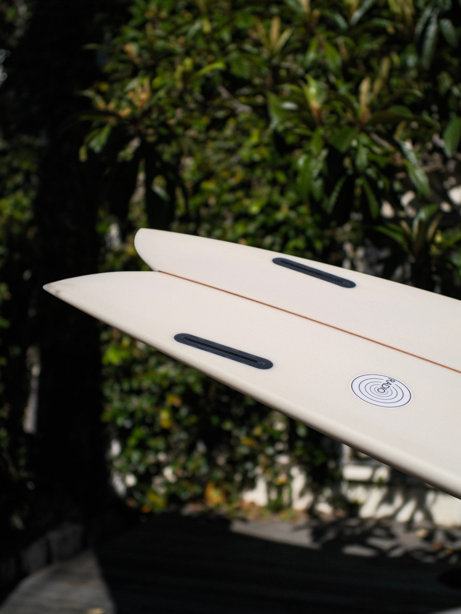6'0 Radio Classic Fish - Mollusk Surf Shop - description