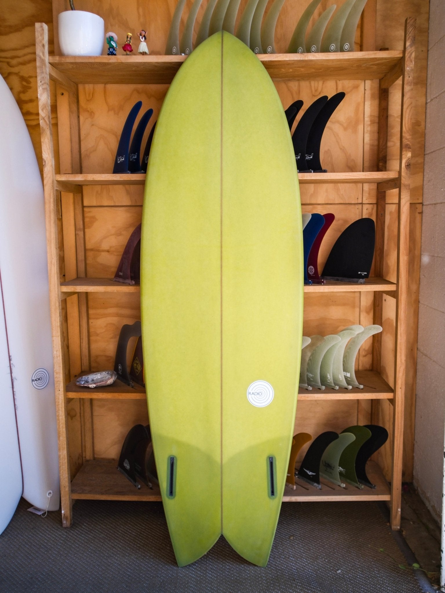 6'0 Radio Classic Fish - Mollusk Surf Shop