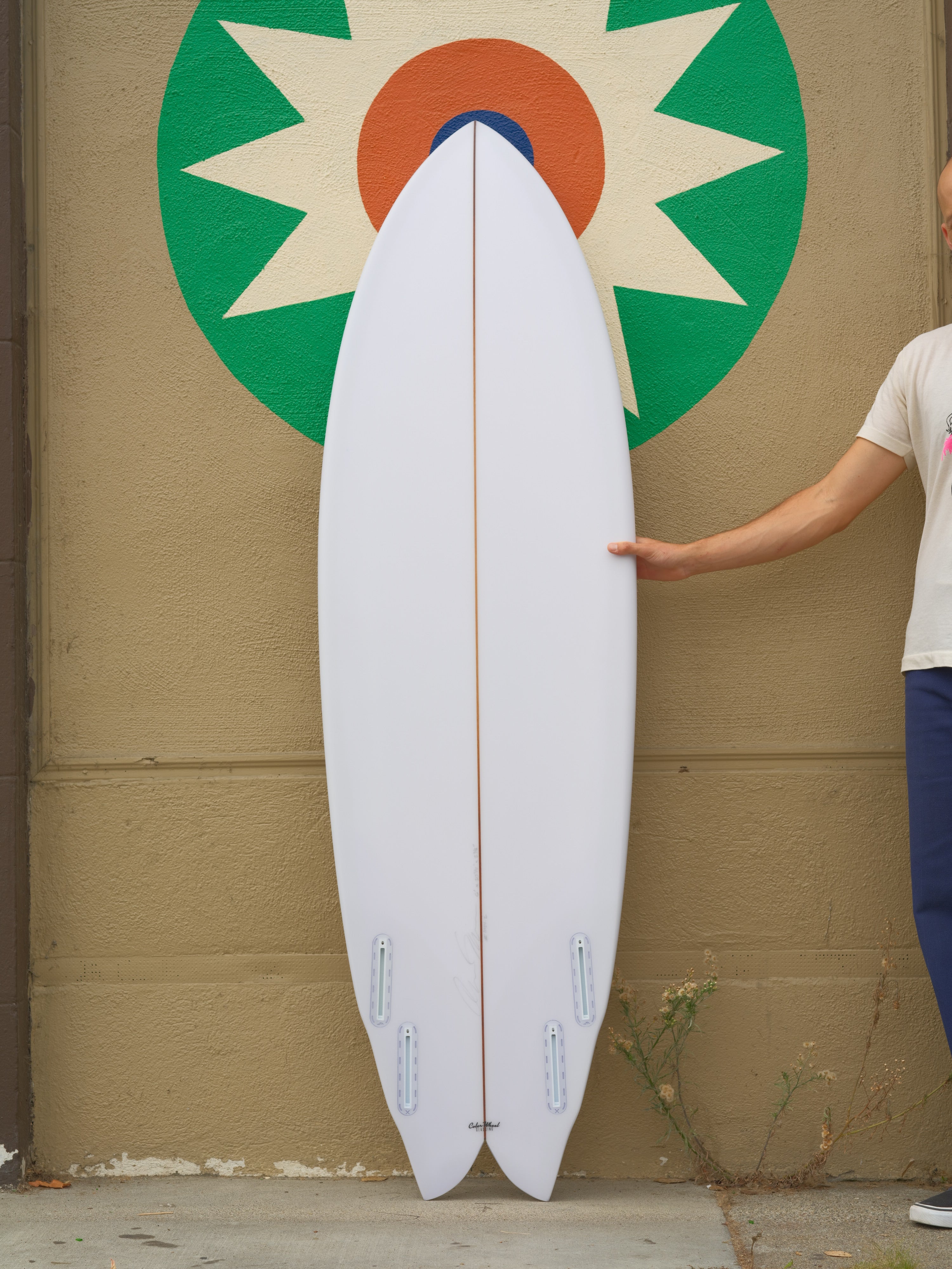 6'0 Rainbow Quad - Mollusk Surf Shop
