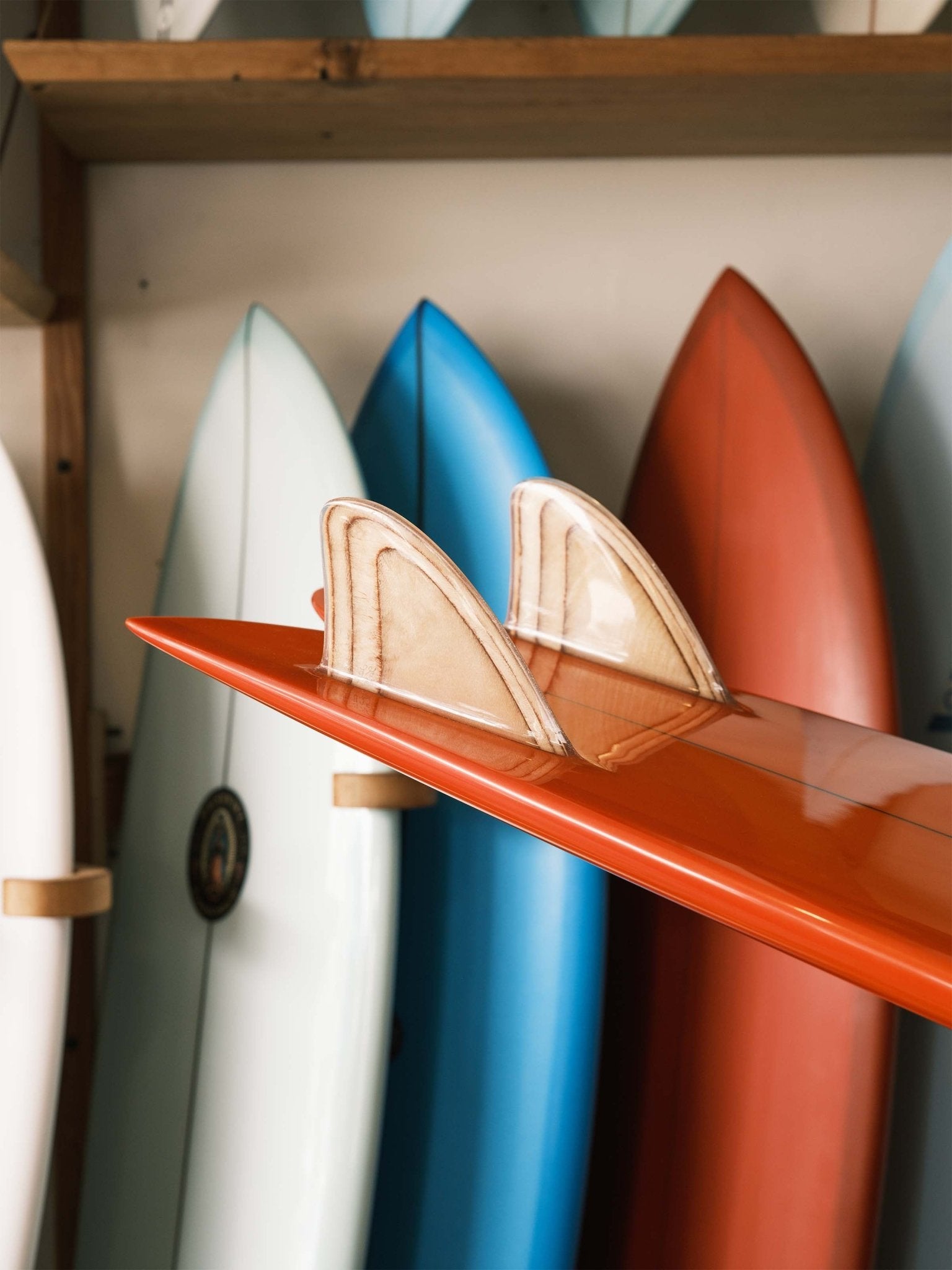 6'0 Steve Lis Fish - Mollusk Surf Shop