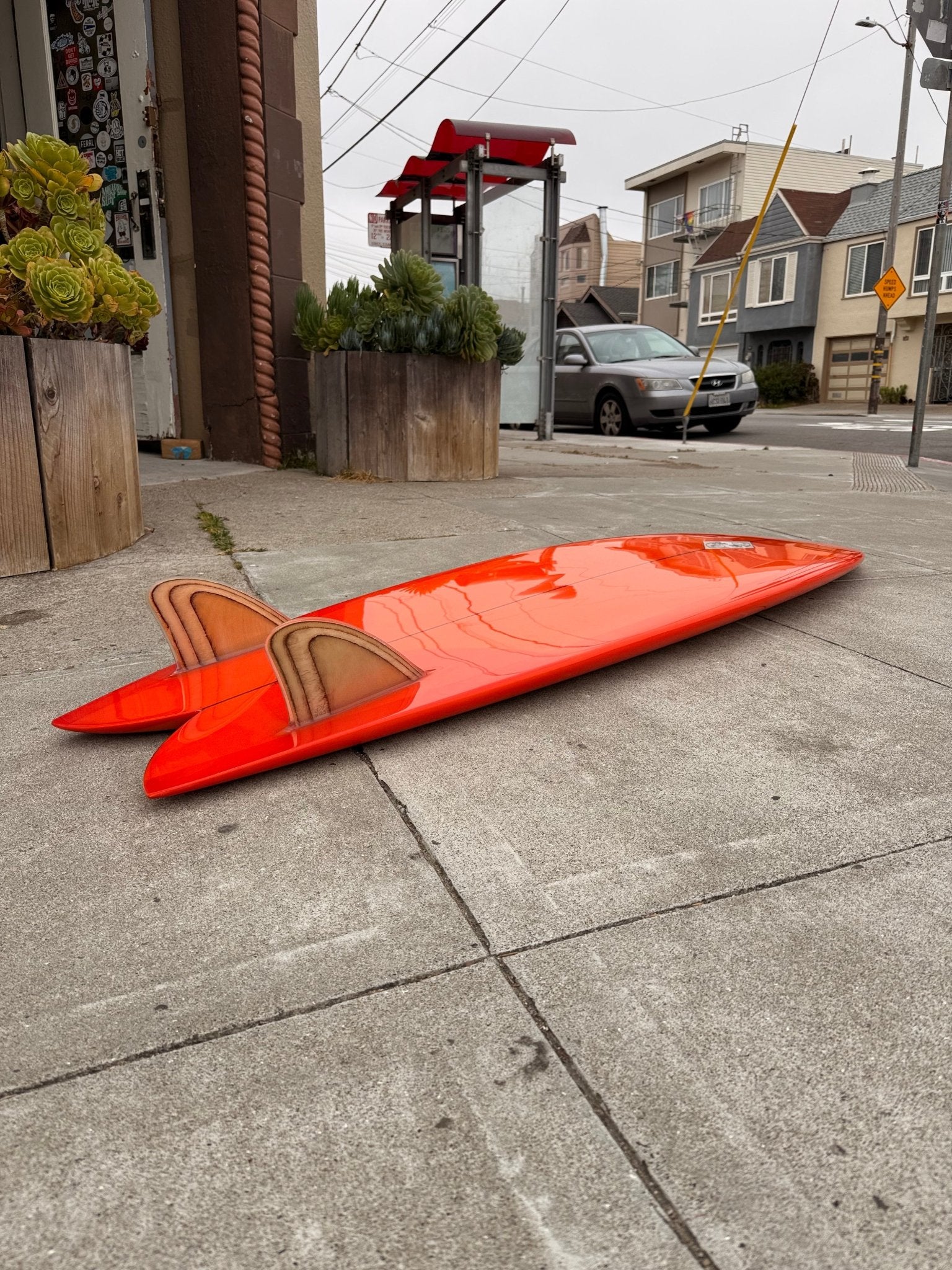 6'0 Steve Lis Fish - Mollusk Surf Shop