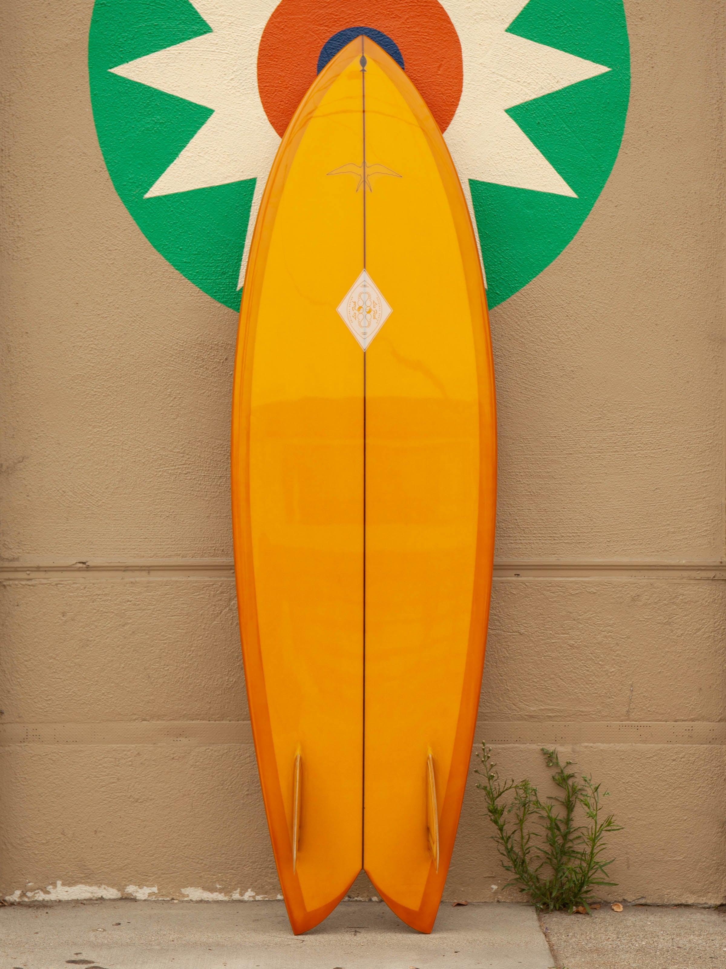 6'0 Steve Lis Fish - Mollusk Surf Shop