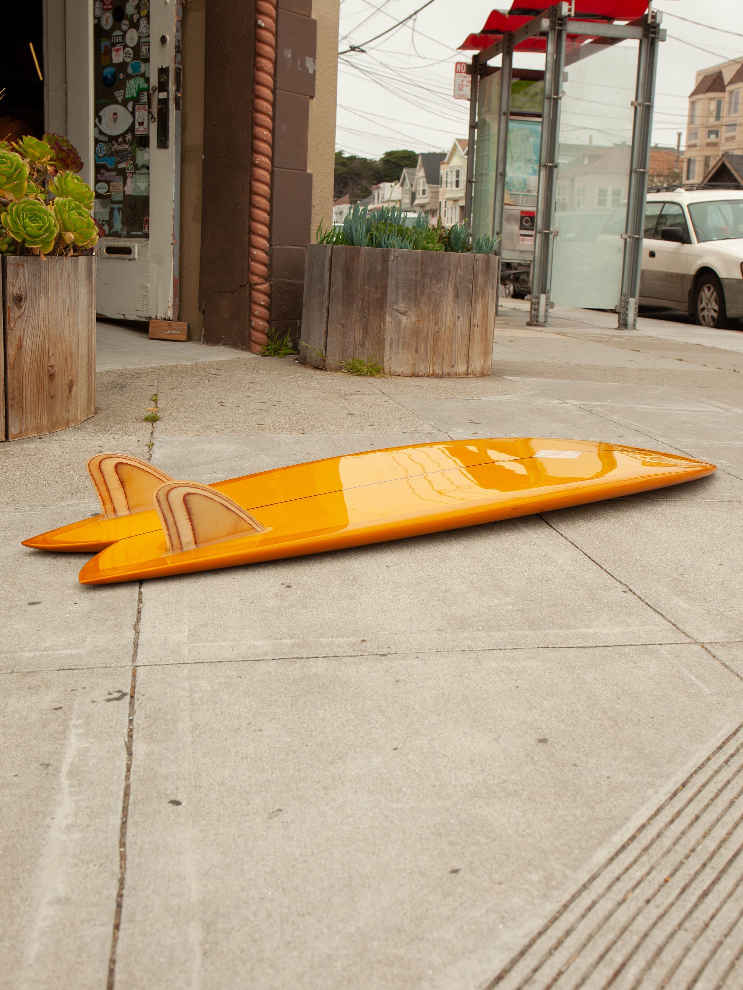 6'0 Steve Lis Fish - Mollusk Surf Shop