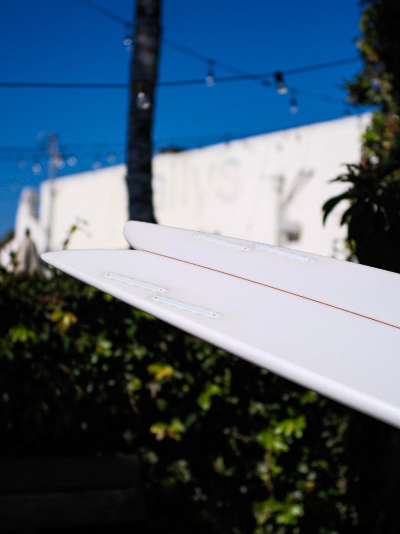 6'1 Jeff Svoboda Compadre - Mollusk Surf Shop - description
