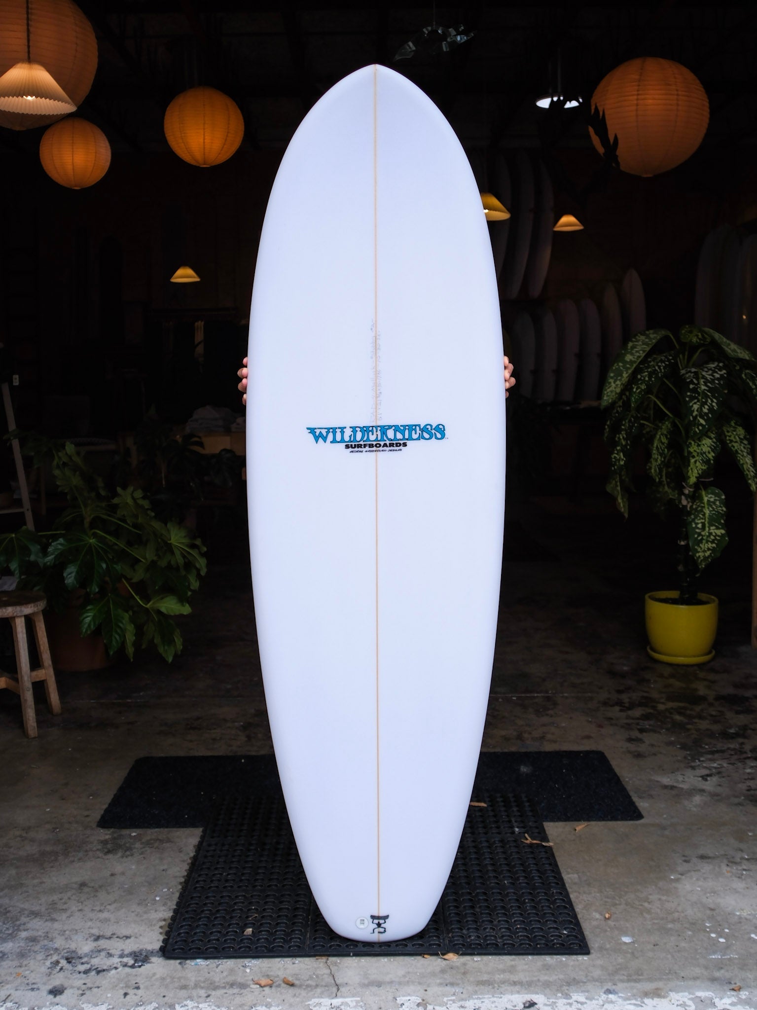 6'1 Wilderness Stubby - Mollusk Surf Shop