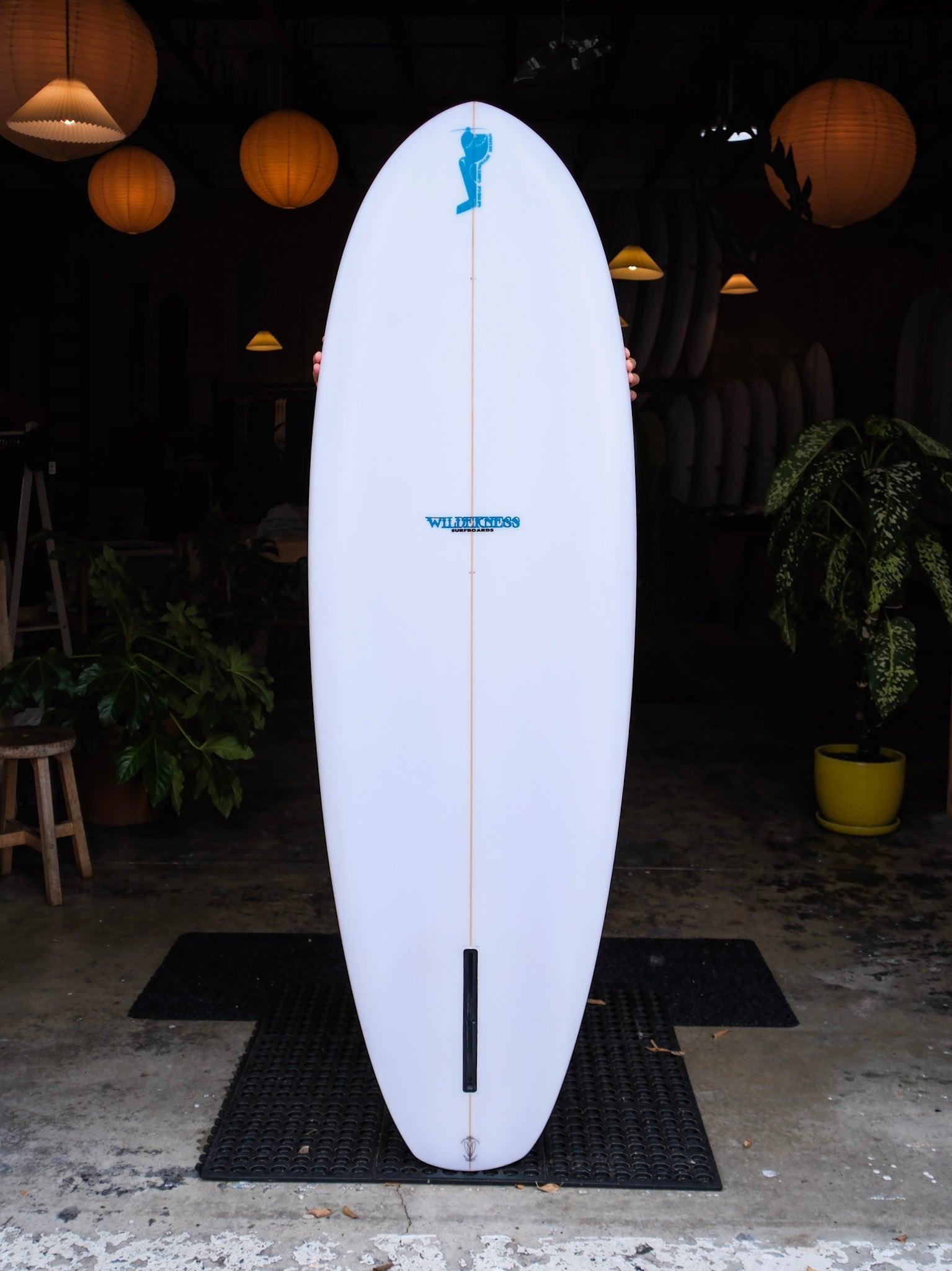 6'1 Wilderness Stubby - Mollusk Surf Shop