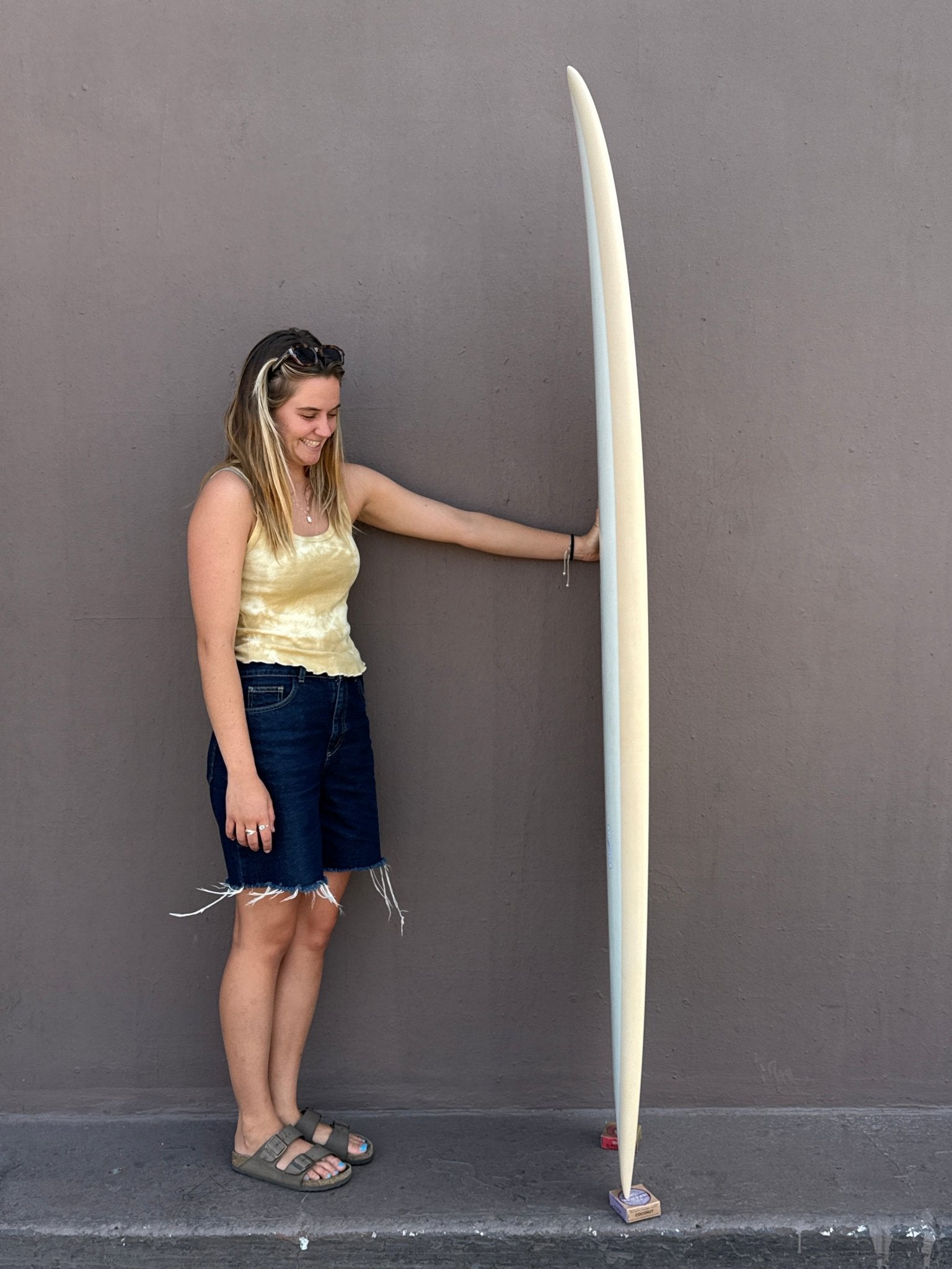 6'10 Radio Mid Fish - Mollusk Surf Shop