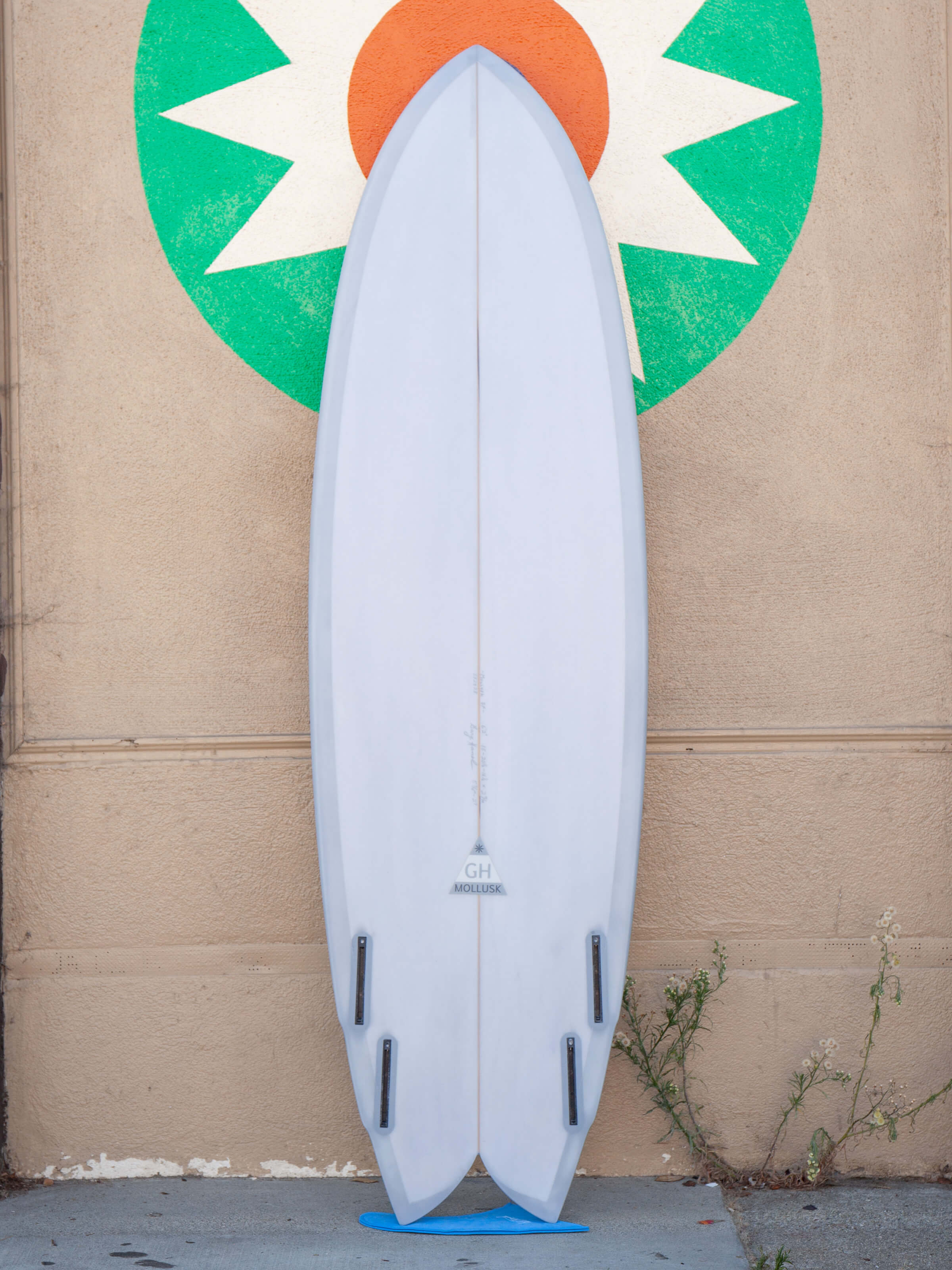 6'2 Gary Hanel Q Fish - Mollusk Surf Shop