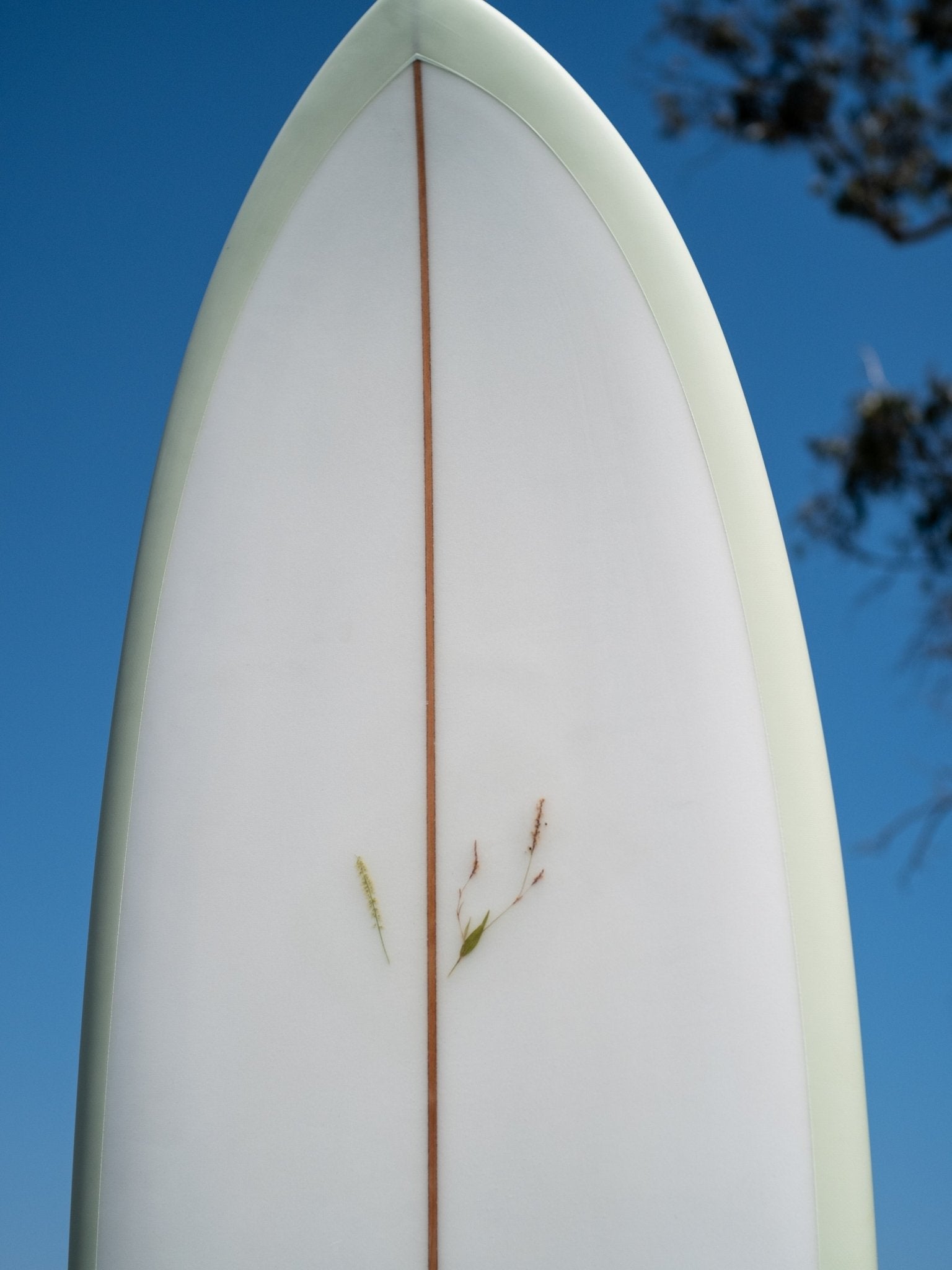 6'2 Jeff Svoboda Tarotplane - Mollusk Surf Shop