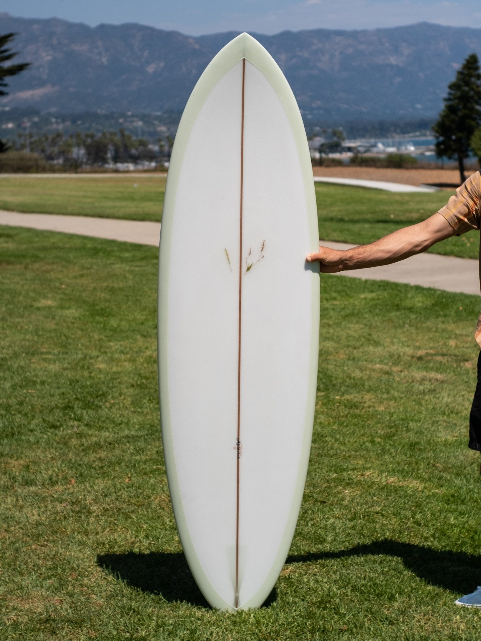 6'2 Jeff Svoboda Tarotplane - Mollusk Surf Shop