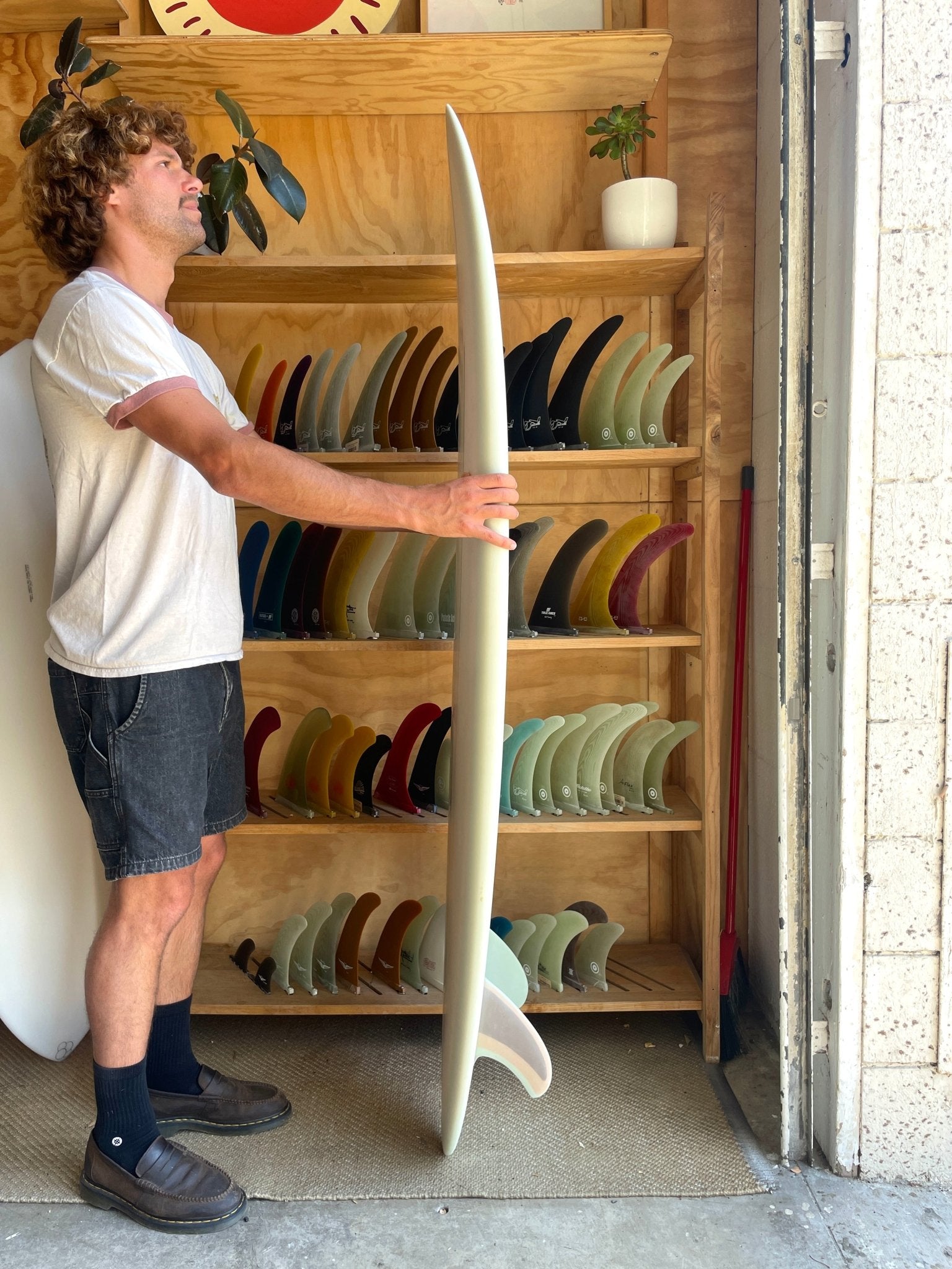 6'2 Jeff Svoboda Tarotplane - Mollusk Surf Shop