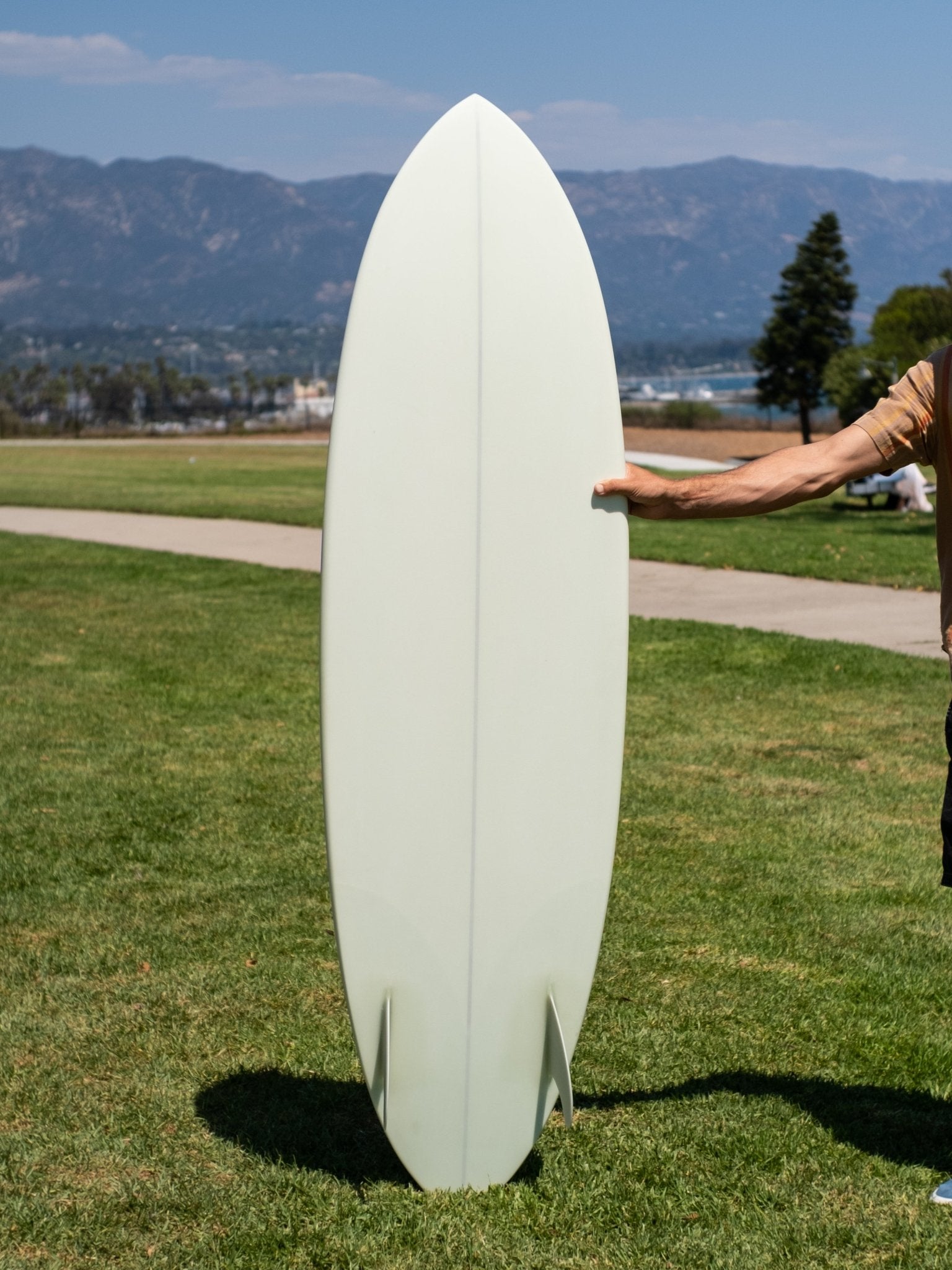 6'2 Jeff Svoboda Tarotplane - Mollusk Surf Shop