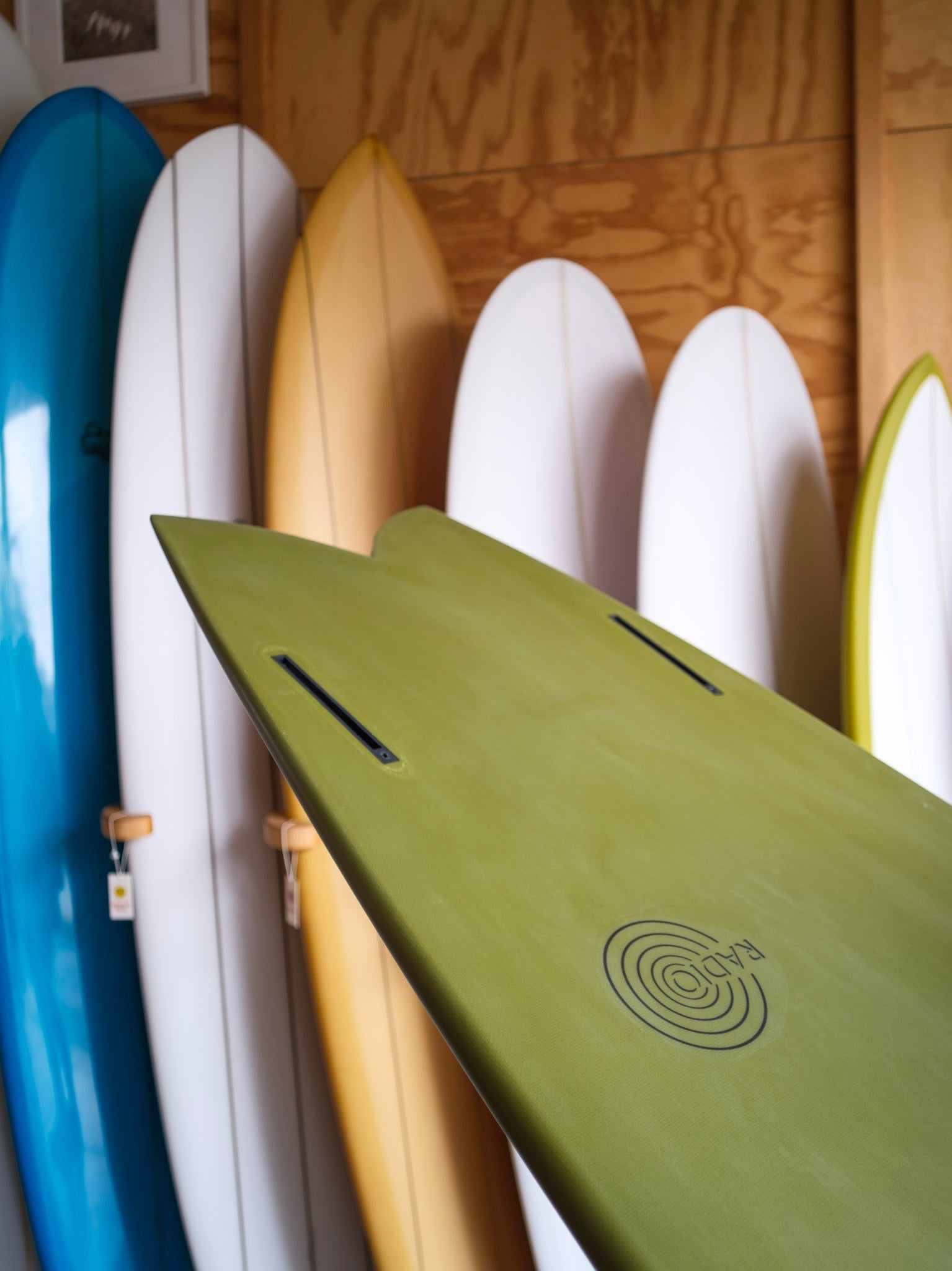 6'2 Radio Classic Fish - Mollusk Surf Shop - description
