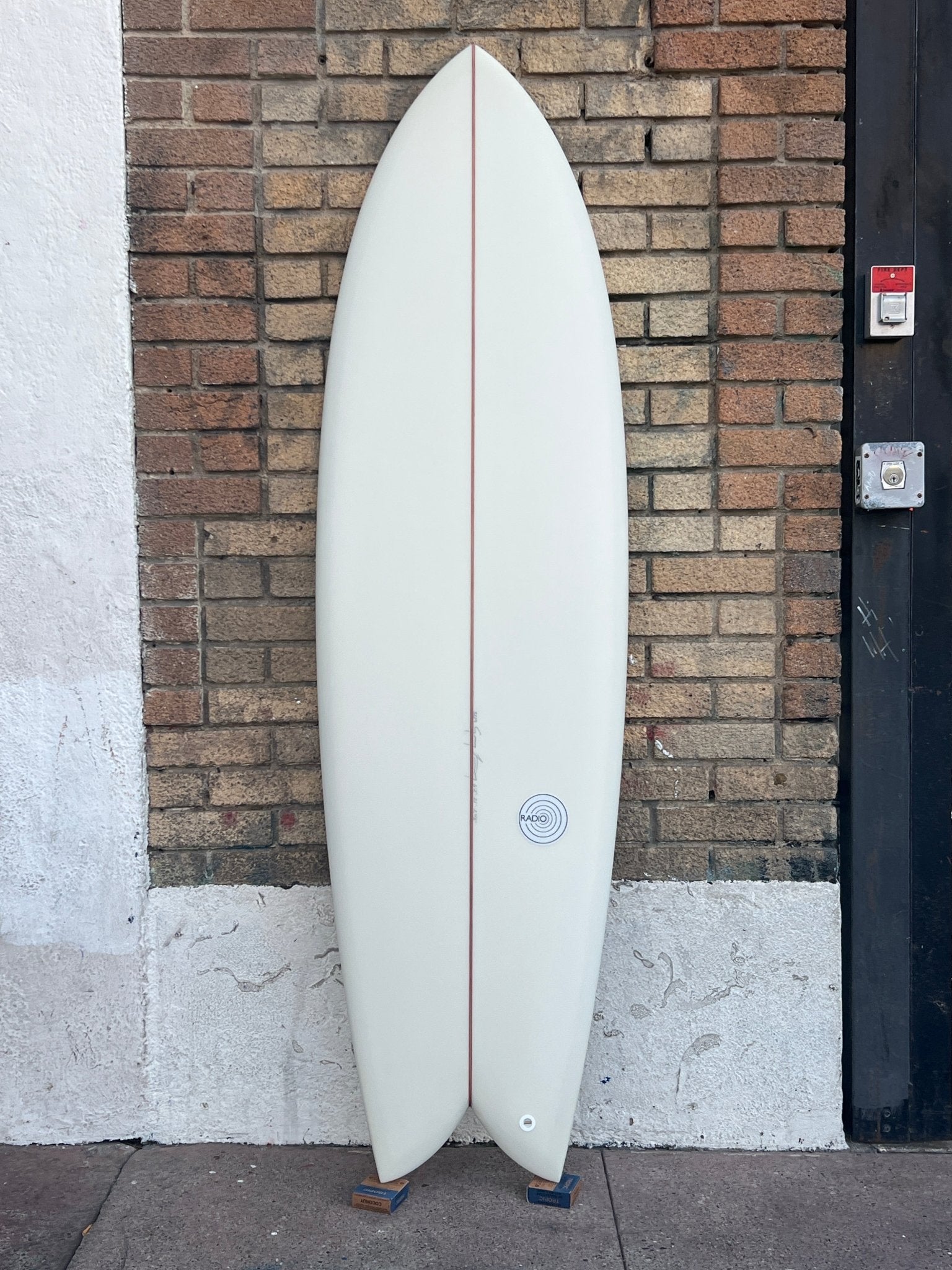 6'2 Radio Classic Fish - Mollusk Surf Shop