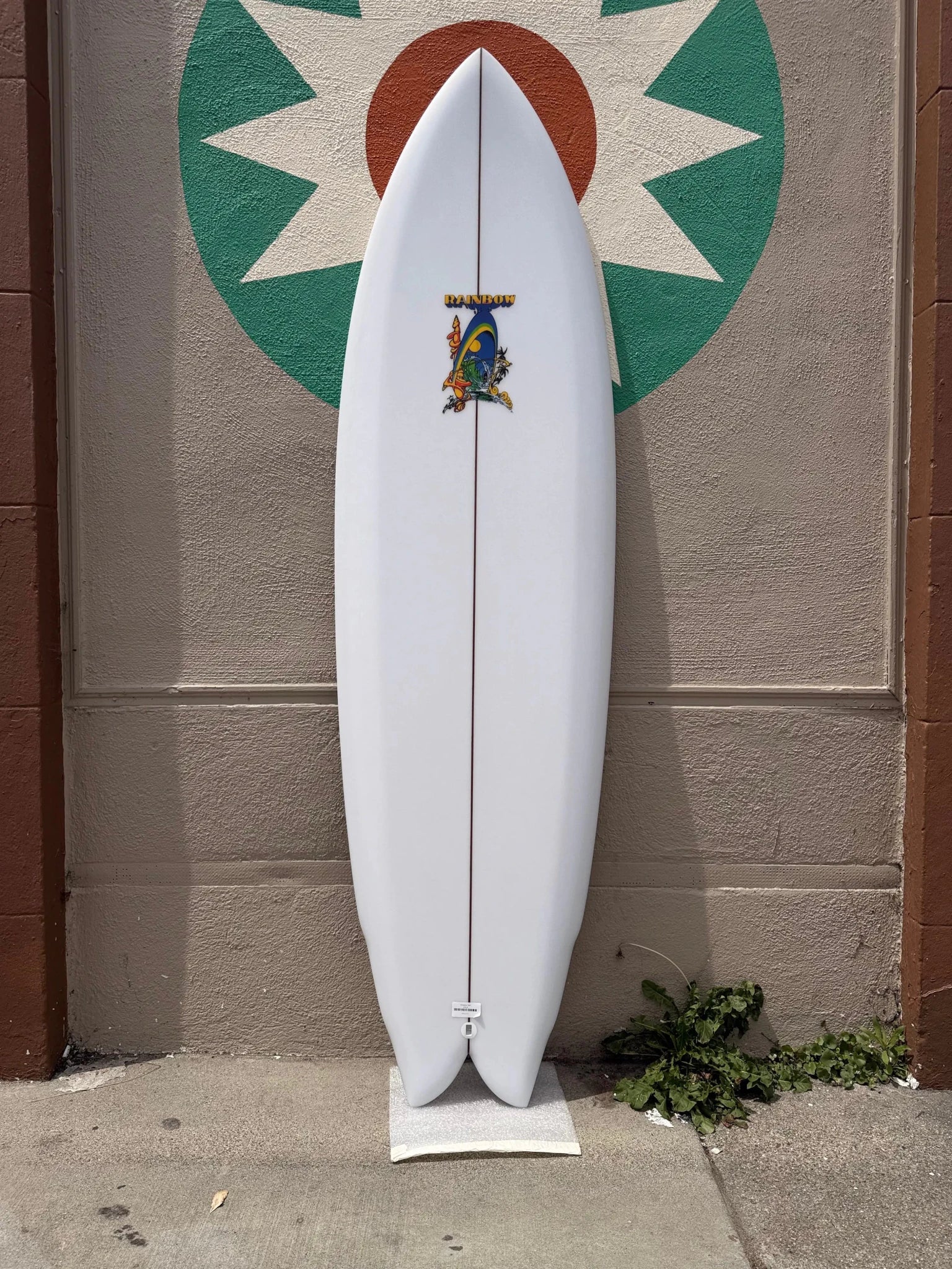 6'2 Rainbow Quad - Mollusk Surf Shop