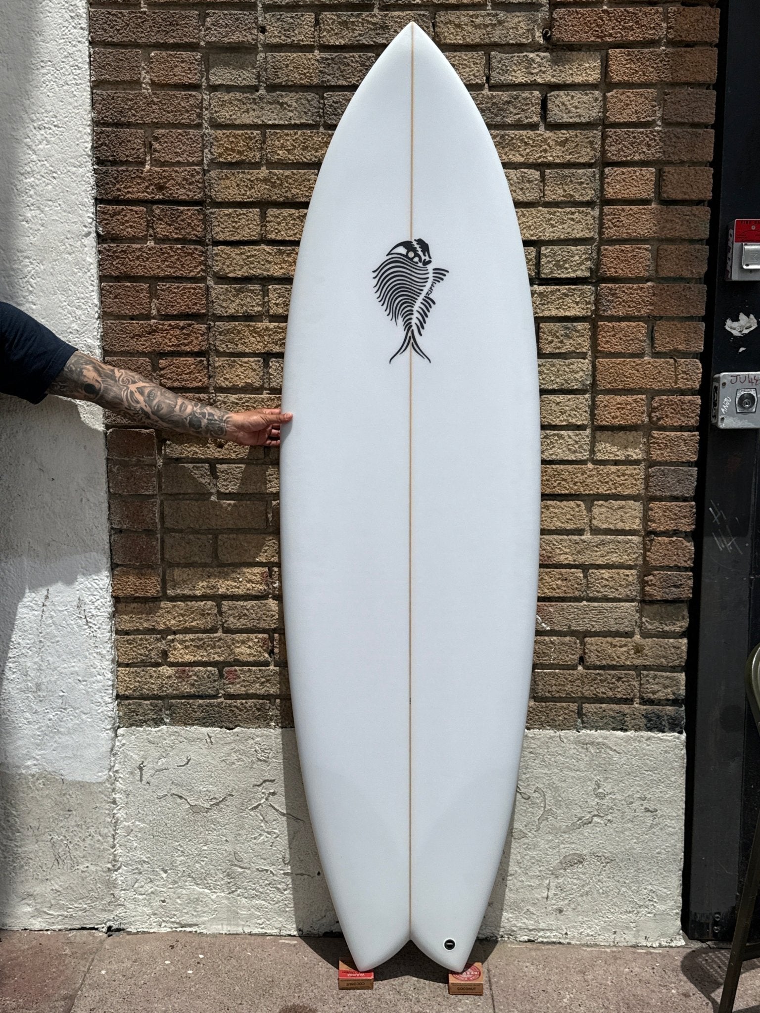 6'2 Zippi Fish - Mollusk Surf Shop
