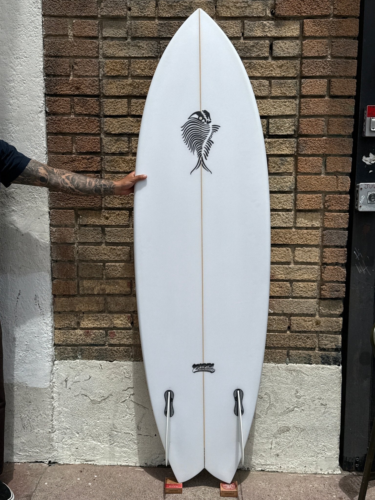 6'2 Zippi Fish - Mollusk Surf Shop