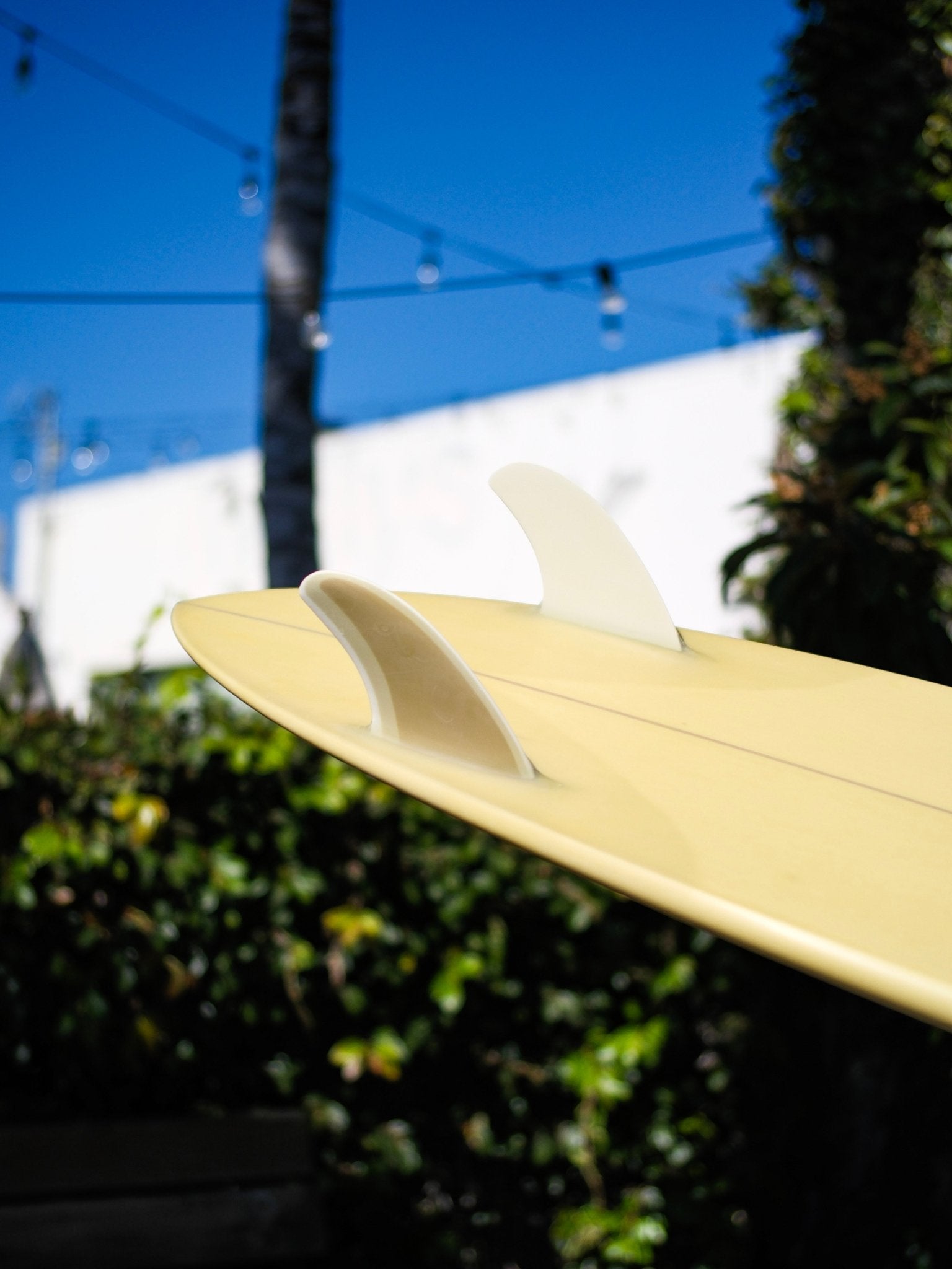 6'3 Jeff Svoboda Tarotplane - Mollusk Surf Shop - description