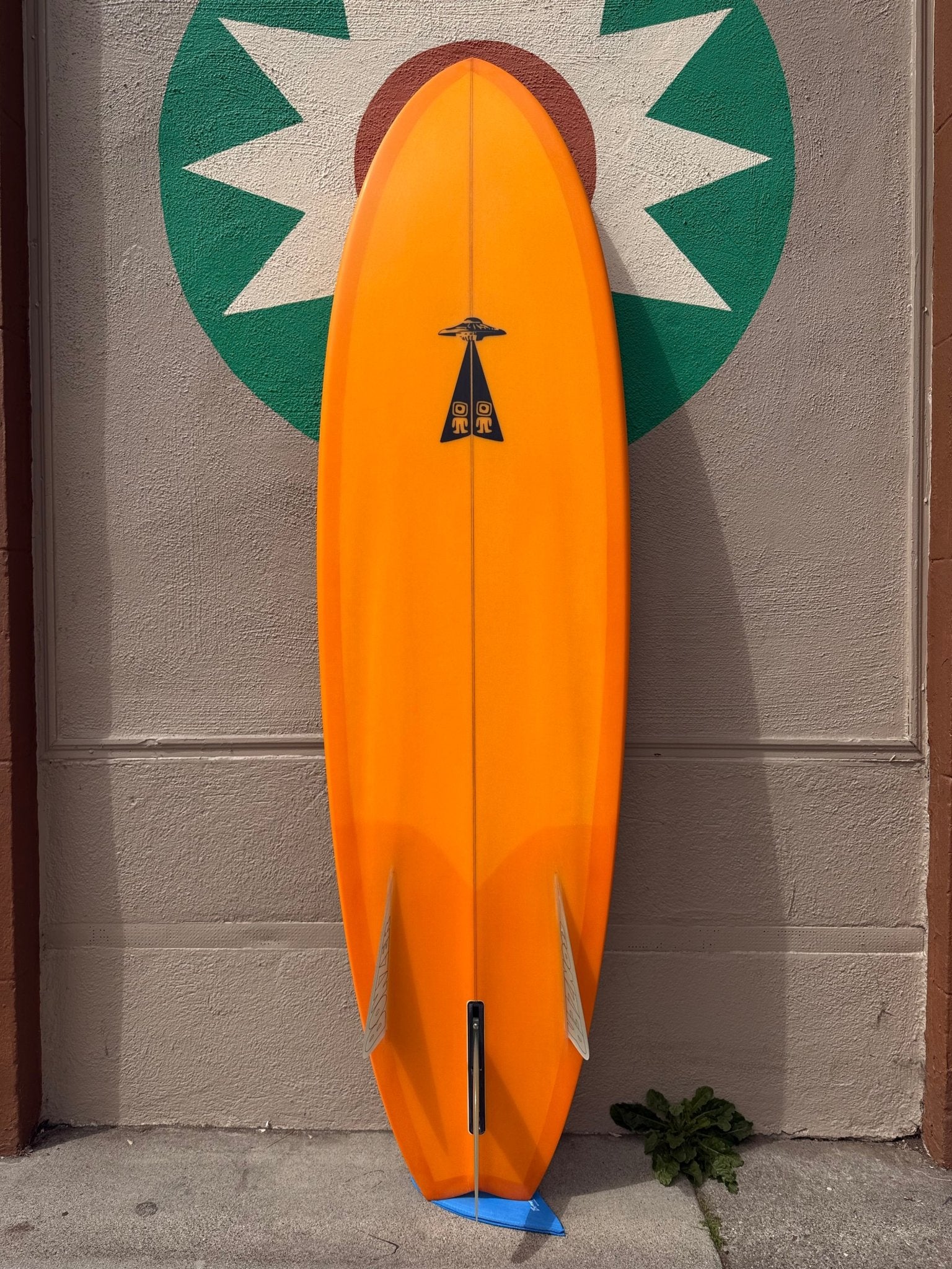 6'4 Campbell Brothers Egg Light - Mollusk Surf Shop