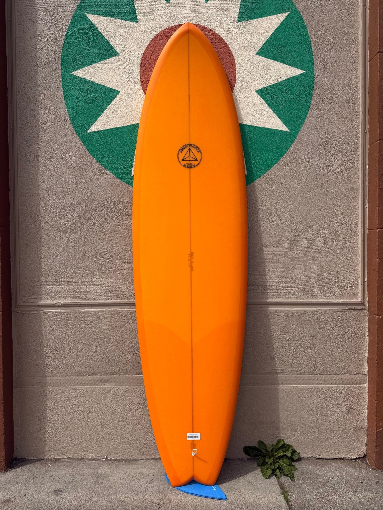 6'4 Campbell Brothers Egg Light - Mollusk Surf Shop